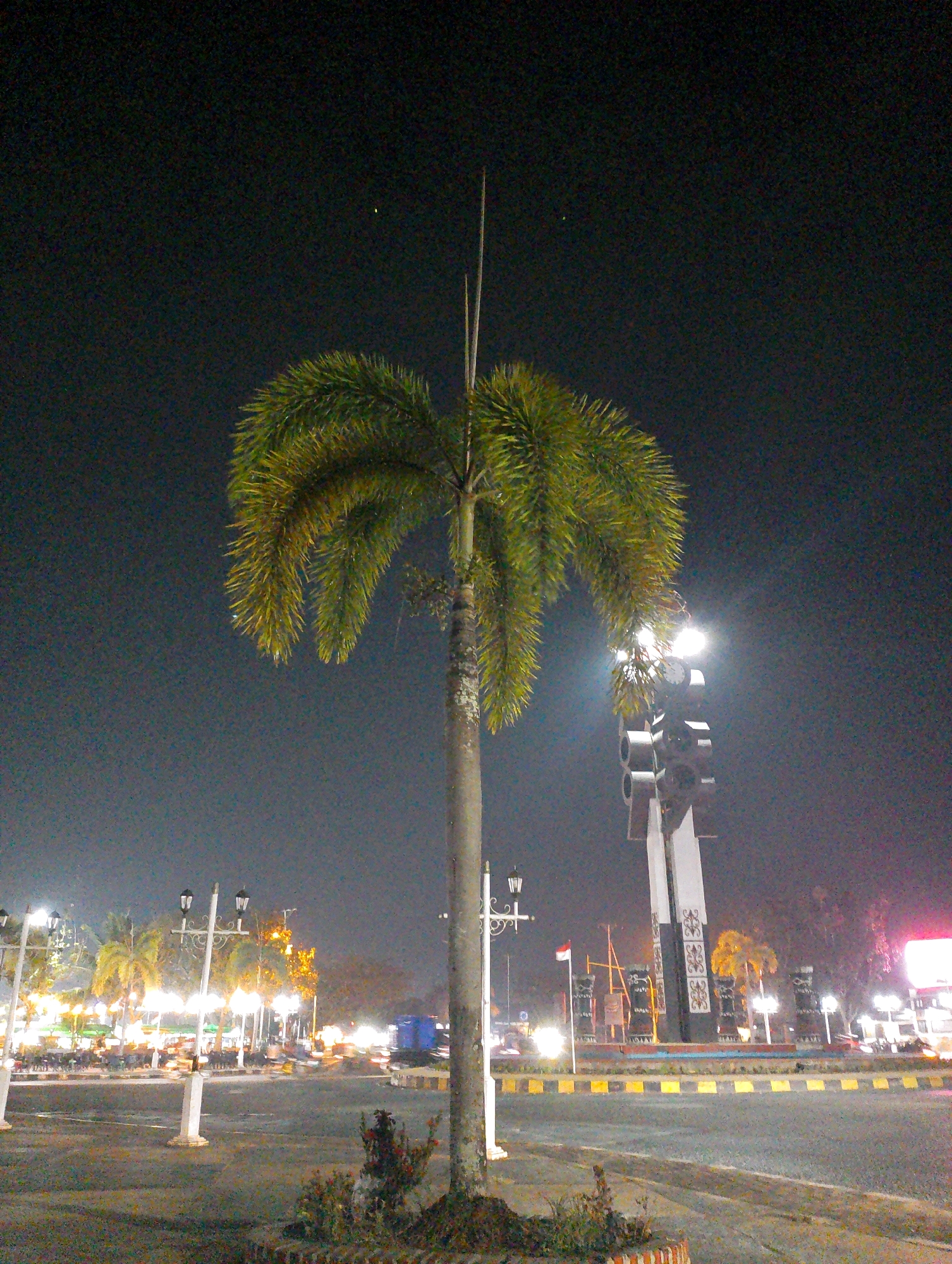 The image shows a street scene at night in Merauke, Indonesia. A large palm tree is prominently featured in the foreground, with its fronds illuminated by streetlights. In the background, there is a large, modern monument with a prominent structure that appears to be made of concrete and metal, decorated with what looks like a tribal pattern. Several streetlights line the road, and there are cars and buildings visible, suggesting a busy urban environment. The sky is dark, indicating it is nighttime. The overall impression is of a well-lit, public space in a tropical city.