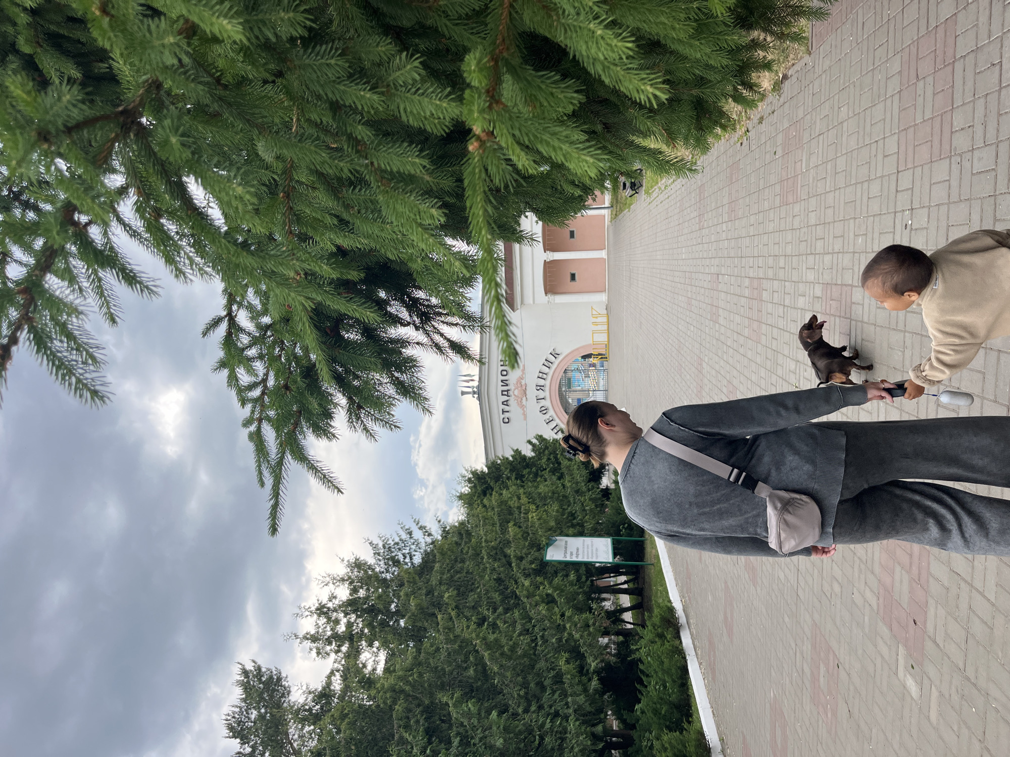 A slightly rotated vertical shot captures an outdoor scene featuring an adult, a child, and a small black dog on a paved walkway, likely in Oktyabrsky, Russia. The adult, seen from behind and wearing a grey tracksuit with a grey fanny pack, holds an object that appears to be a leash or toy. A young child in a light-colored top is bent down, interacting with the small dog, which has its mouth slightly open and is looking up at the child. The group is on a path made of grey and red interlocking bricks, bordered by grass and dense green trees or bushes.
In the mid-ground, a large white building with pillars is visible. Prominently displayed on the building are Cyrillic letters spelling out "СТАДИОН НЕФТЯНИК" (STADIUM NEFTYANIK), indicating a sports venue, specifically Neftyanik Stadium in Oktyabrsky. The sky above is overcast with grey clouds, suggesting a cloudy daytime scene. On the right side, another dense green area of trees and a green sign with unreadable Cyrillic text are present. Pine or spruce branches hang into the frame from the top left. The overall atmosphere suggests a casual outing or walk.