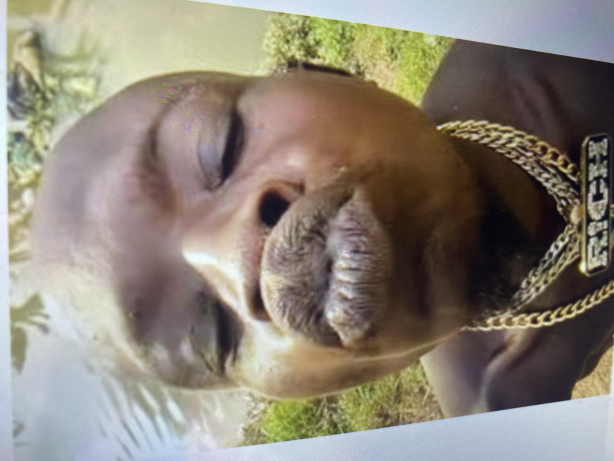 This is a close-up, over-the-shoulder shot of a person's face from the chest up, with their eyes closed and lips pursed, as if blowing a kiss. They are wearing a thick, multi-strand gold chain with a pendant that spells out "RICH" in block letters. The background is blurred and appears to be an outdoor environment with greenery and possibly water. There is no information in the image to suggest its location in Ta', Indonesia.