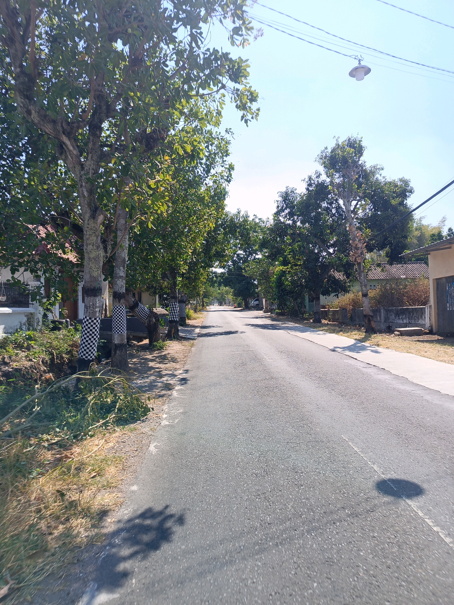This image depicts a roadside scene in Tamanan, Indonesia. A paved road stretches into the distance, lined with trees on both sides. Some of the trees in the foreground are decorated with black and white checkered fabric wrapped around their trunks. Houses and other buildings are visible on either side of the road, interspersed with vegetation. Overhead power lines and a street lamp are also present. The sky is clear and blue. The overall impression is one of a rural or suburban street on a sunny day.