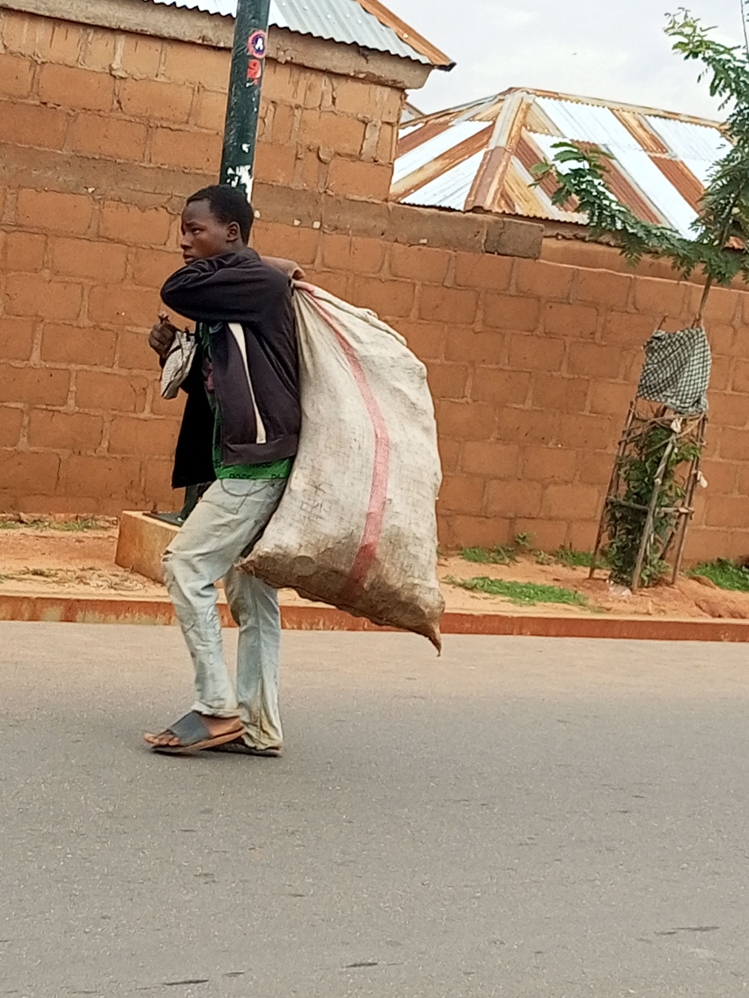 A young male, appearing to be of African descent and wearing a dark jacket over a green t-shirt and light-colored, torn jeans, walks along an asphalt road. He carries a large, bulging sack over his left shoulder. His right arm is bent, and he appears to be holding onto a small, dark object. He is wearing dark sandals.
The background features a wall constructed of orange bricks. Above the wall, a corrugated metal roof with alternating white and rust-colored panels is visible. A green leafy plant is growing in front of the wall, secured by a wooden trellis structure. A dark, thin pole, possibly a lamppost, stands near the center of the frame, adorned with stickers. The scene appears to be set in Tempure, Nigeria, given the architectural style and natural elements. The ground in front of the wall is covered with dirt and sparse green vegetation. The road is a medium gray asphalt with some faint markings. The sky is overcast.
