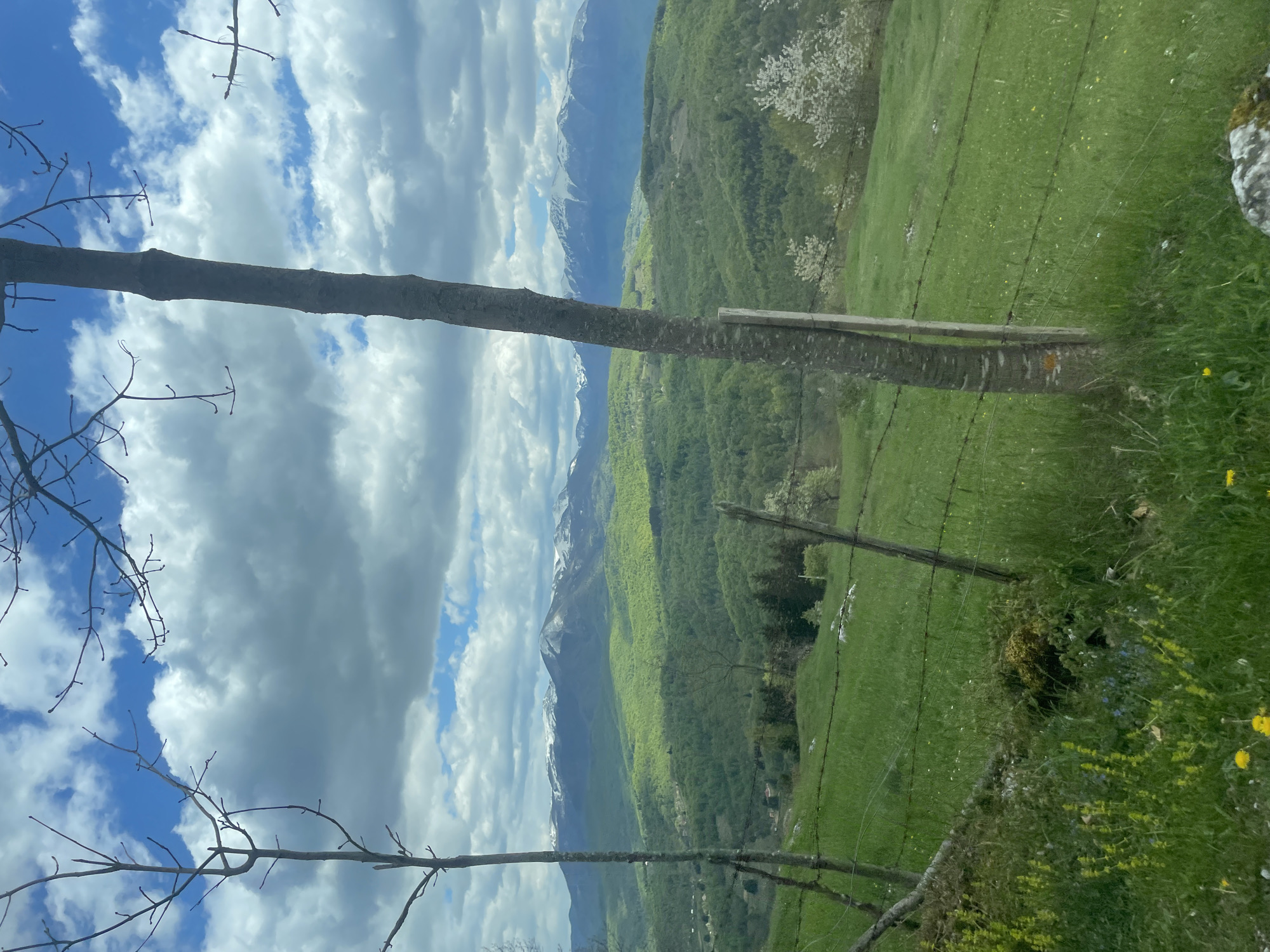 The image presents a landscape view in Lepenac, Montenegro. In the foreground, a leafless tree branch stretches across the frame, partially obscuring the scene. A wooden fence runs along the edge of a green, grassy field dotted with yellow wildflowers. Beyond the field, a lush, green mountainside rises towards snow-capped mountain peaks in the distance, partially obscured by fluffy white clouds under a blue sky.