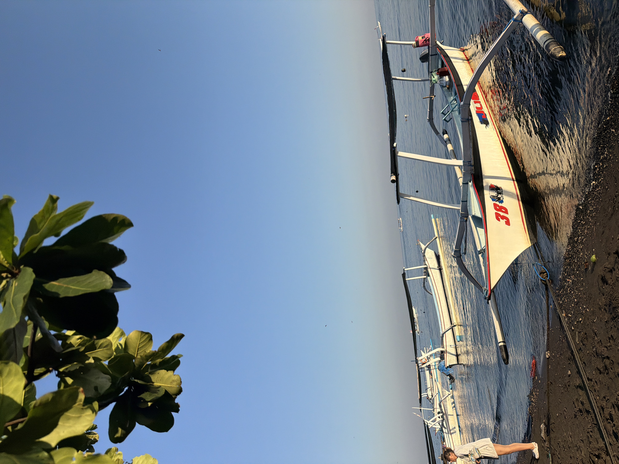 In Buleleng, Indonesia, the image captures a serene morning scene on a beach with traditional outrigger boats. The sun casts a warm glow on the calm water, reflecting the clear blue sky. A young woman stands near the water's edge, dressed in casual attire, observing the boats. Several white outrigger boats are moored near the shore, some with canopies, indicating their use for local transport or tourism. The boat closest to the viewer has the number "38" painted on its side, along with some red lettering. The beach itself appears to be made of dark volcanic sand, with some scattered debris. Lush green leaves from a tree hang into the frame from the top left, adding a natural element to the composition. The overall atmosphere is peaceful and tranquil, typical of a coastal sunrise.