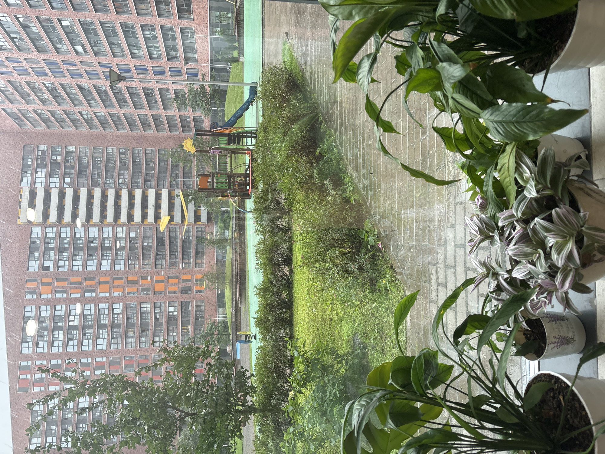 This is an exterior medium shot, taken from inside a building looking out through a window. In the foreground, there are several potted green plants, with large, dark green leaves, some with lighter green variegation. Behind the plants is a brick walkway, wet from rain, leading to a lush green lawn. Beyond the lawn, there is a playground with colorful slides and climbing structures. Further in the background, two large residential buildings are visible, constructed with reddish-brown brick and featuring numerous windows. The sky is overcast, indicating a rainy day. The scene is located in the city of Khimki, Russia.