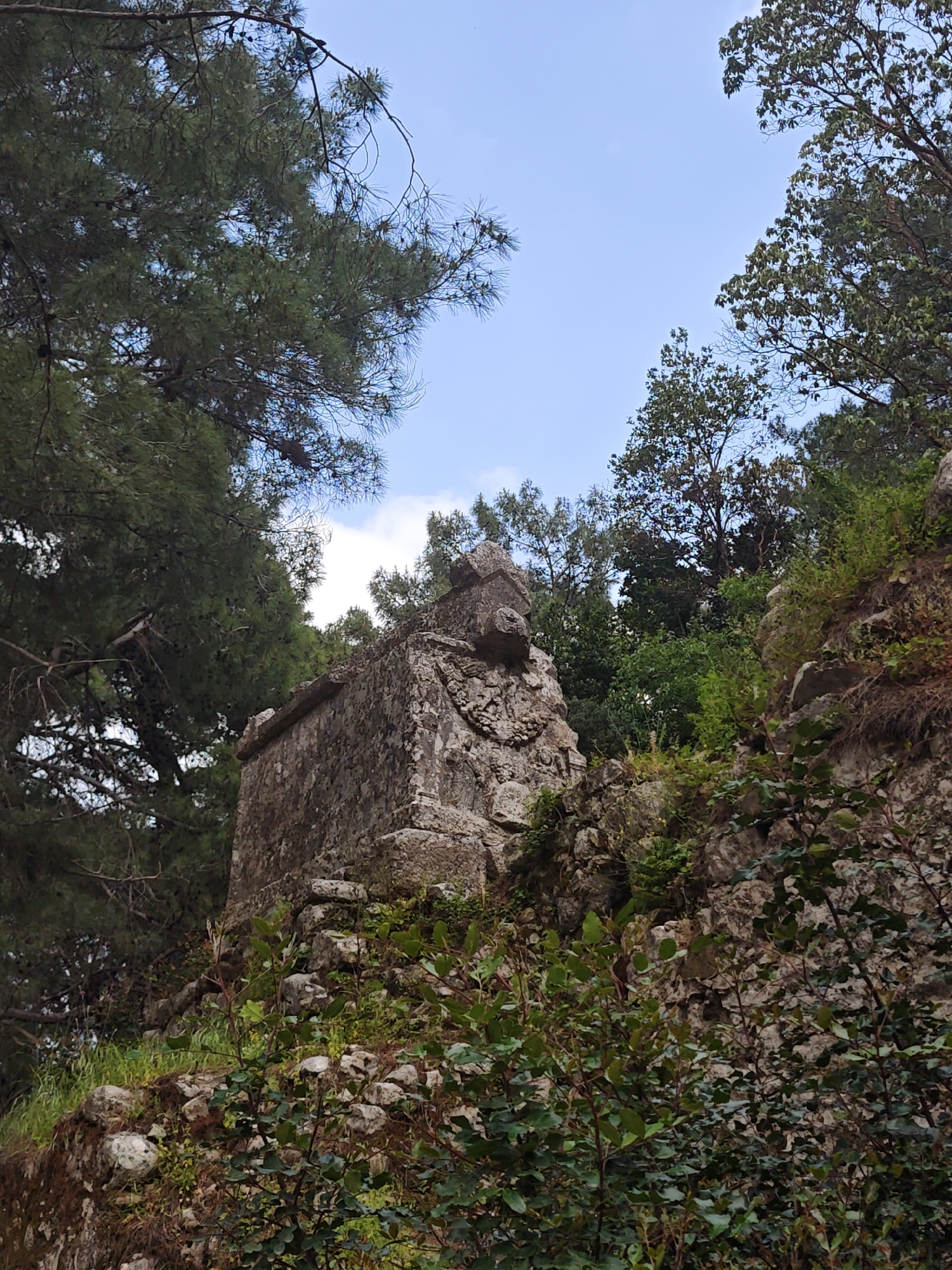 The image displays an ancient, weathered stone structure, likely a tomb or sarcophagus, nestled within a dense, natural environment. The large, rectangular stone edifice, characteristic of Lycian tombs found in regions like Kumluca, Turkey, is the central subject. Its surfaces are rough and aged, showing signs of erosion and moss, indicative of centuries of exposure. A prominent, three-dimensional carving, possibly a stylized animal head resembling a lion, is visible on the top part of the structure, along with eroded relief carvings on its sides.
The tomb is enveloped by lush vegetation. On the left and top-left, tall coniferous trees with dark green needles and visible cones frame the scene against a bright blue sky. On the right and in the foreground, a variety of green bushes and leafy trees grow densely, integrating the ancient artifact into the natural landscape. Rocky terrain and earthy patches are visible around the base of the structure and on the surrounding slopes.
The scene is set outdoors during daytime, under a clear to partly cloudy sky. No human activity or visible text is present. The overall impression is one of historical solitude, with ancient architecture harmoniously blending into a wild, overgrown natural setting in the Kumluca region of Turkey.