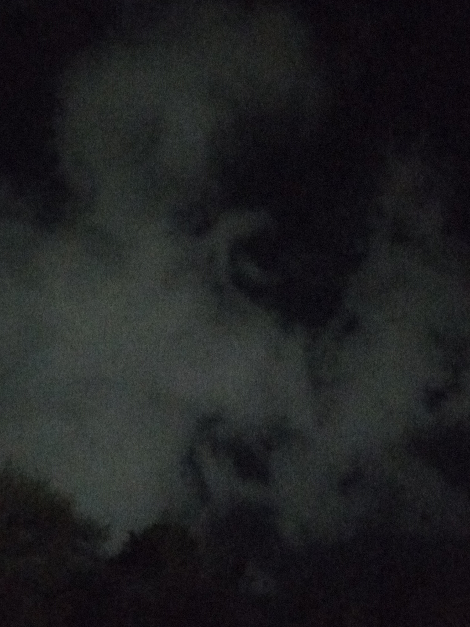 The image shows a dark, likely nighttime, scene with indistinct shapes suggesting clouds and possible trees in the foreground. There are no visible people or identifiable objects. The general low light and indistinct forms render specific forensic analysis impossible. The location of Juan Griego, Venezuela is not discernible from the image content.