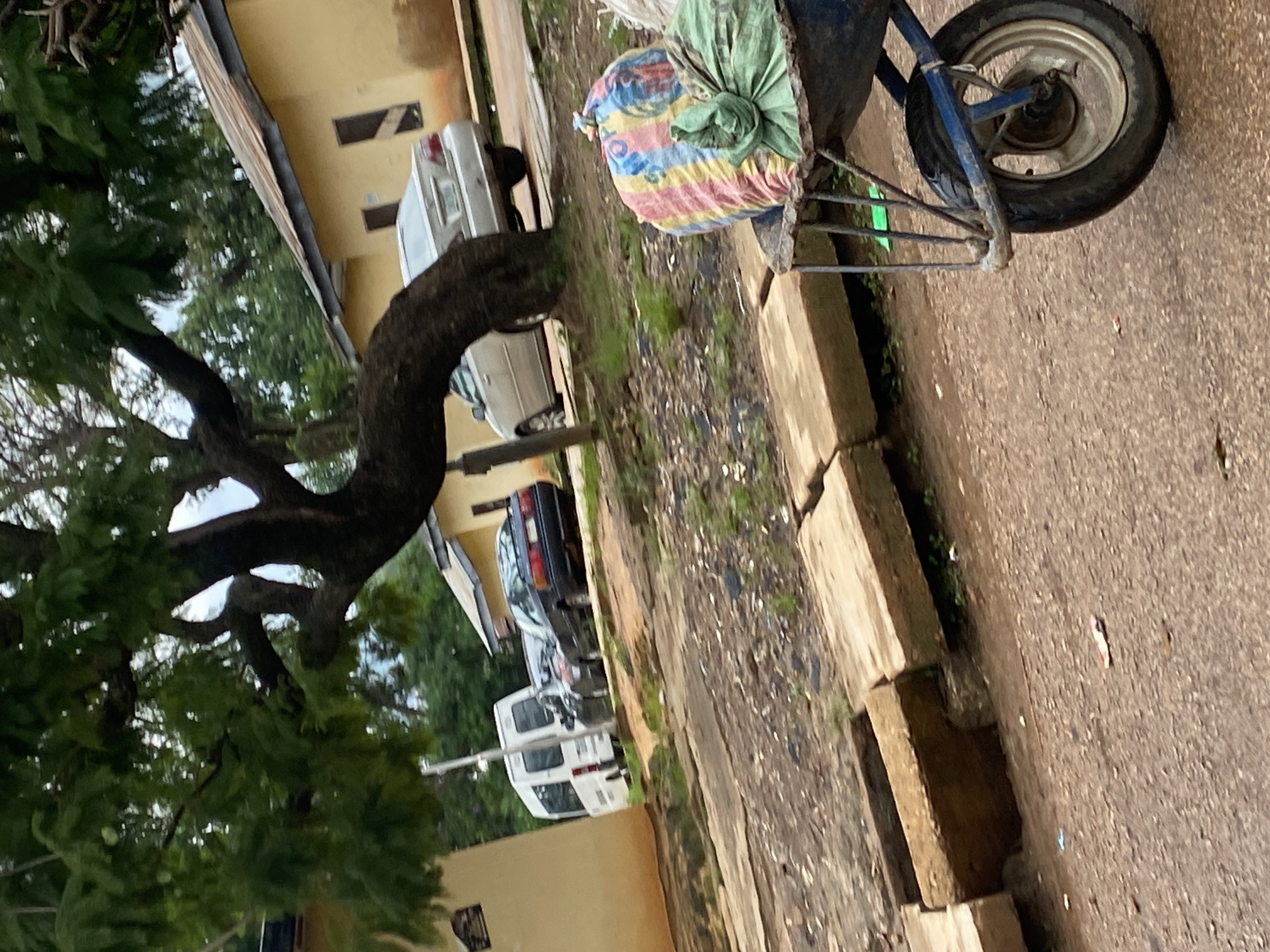 The image shows a scene in Rafin Par, Nigeria. In the foreground, a blue wheelbarrow is partially visible, with a colorful striped bag and a green bag of goods on it. The wheelbarrow has a single wheel. Behind the wheelbarrow, there is a dirt and gravel road with some concrete slabs lining a trench. Several cars are parked or driving on a paved road in the background, including a white van, a dark sedan, and a silver sedan. A large tree with a bent trunk and green foliage dominates the left side of the frame. Yellow buildings with corrugated metal roofs are visible behind the cars and the tree. The environment appears to be a semi-urban or rural setting, with a mix of natural elements and man-made structures. The lighting suggests it is daytime, possibly overcast or late afternoon, as there are no harsh shadows.