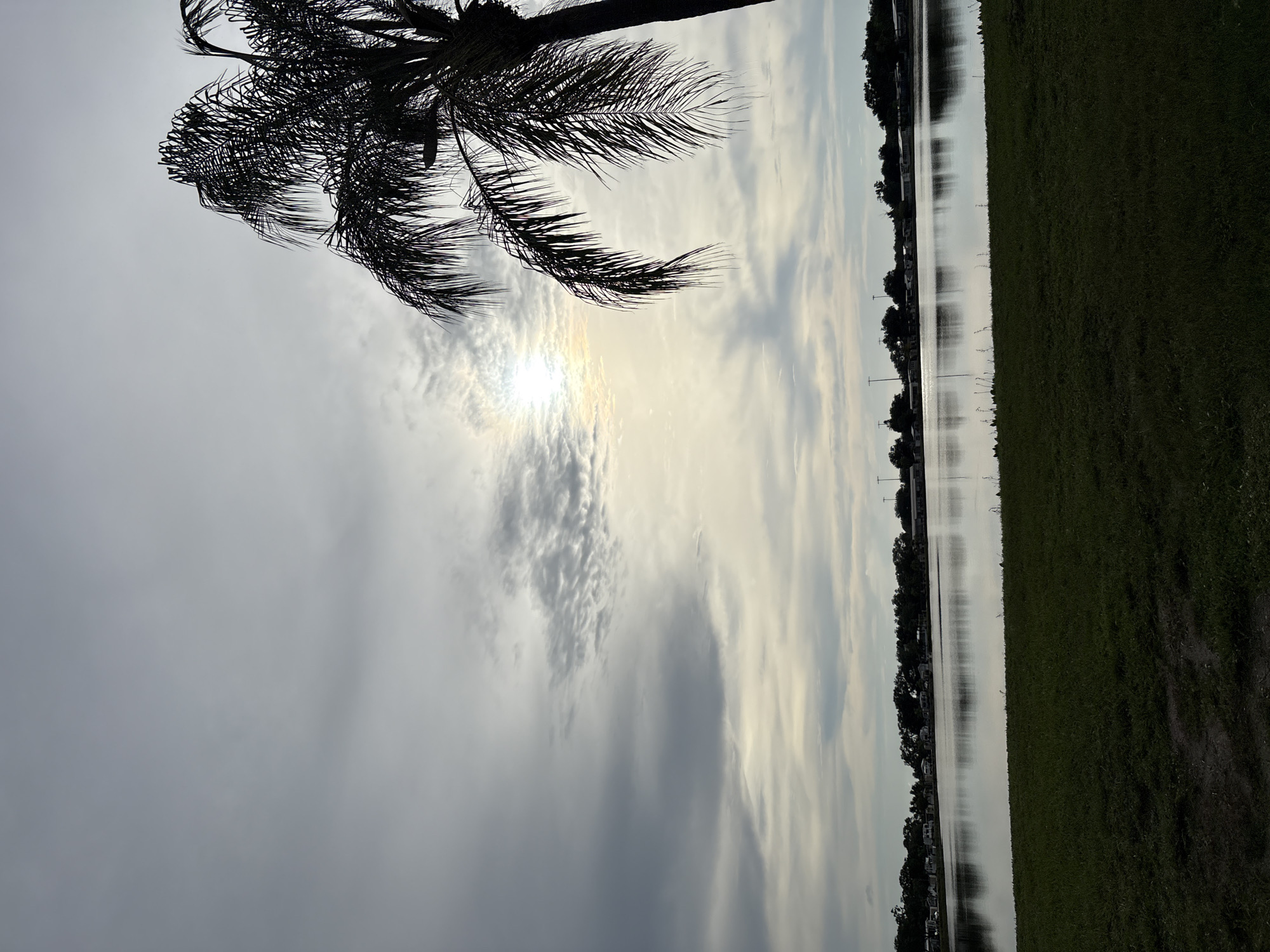 A silhouetted palm tree is on the right side of the frame, with its fronds extending into a cloudy sky. The sun peeks through the clouds, creating a bright, hazy glow. Below the sky is a calm lake, reflecting the overcast sky and the treeline on the opposite shore. The treeline consists of a row of houses or trailers, with some trees scattered in between. In the foreground, there is a patch of green grass. The scene appears to be a residential area near a body of water in Bradenton, Florida.