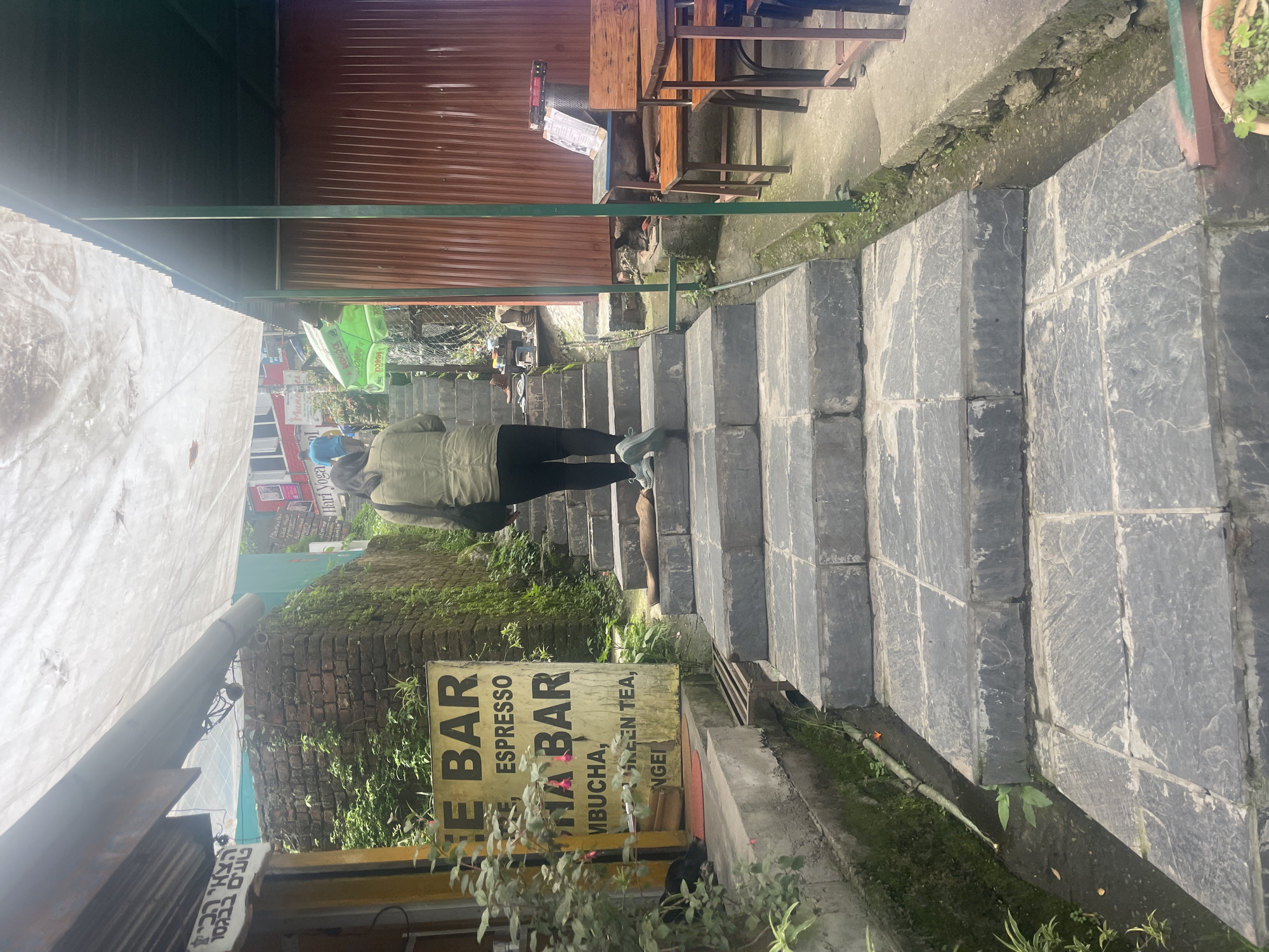 The image depicts a steep stone staircase leading upwards in Bhagsu, India. A person wearing a green jacket and black pants is ascending the stairs, facing away from the camera. To the left of the stairs, a yellow sign with black text reads "FEE BAR ESPRESSO, KOMBUCHA BAR, MBUSCHA, GREEN TEA, NGER". The sign is partially obscured by greenery. Further left, a dark-colored dog is resting on the ground. The environment appears to be a commercial area with outdoor seating and corrugated metal structures visible on the right side of the stairs. Vegetation and moss are present along the sides of the stairs and on adjacent brick walls. The overall scene suggests a pathway to a cafe or establishment in a hilly or mountainous region.