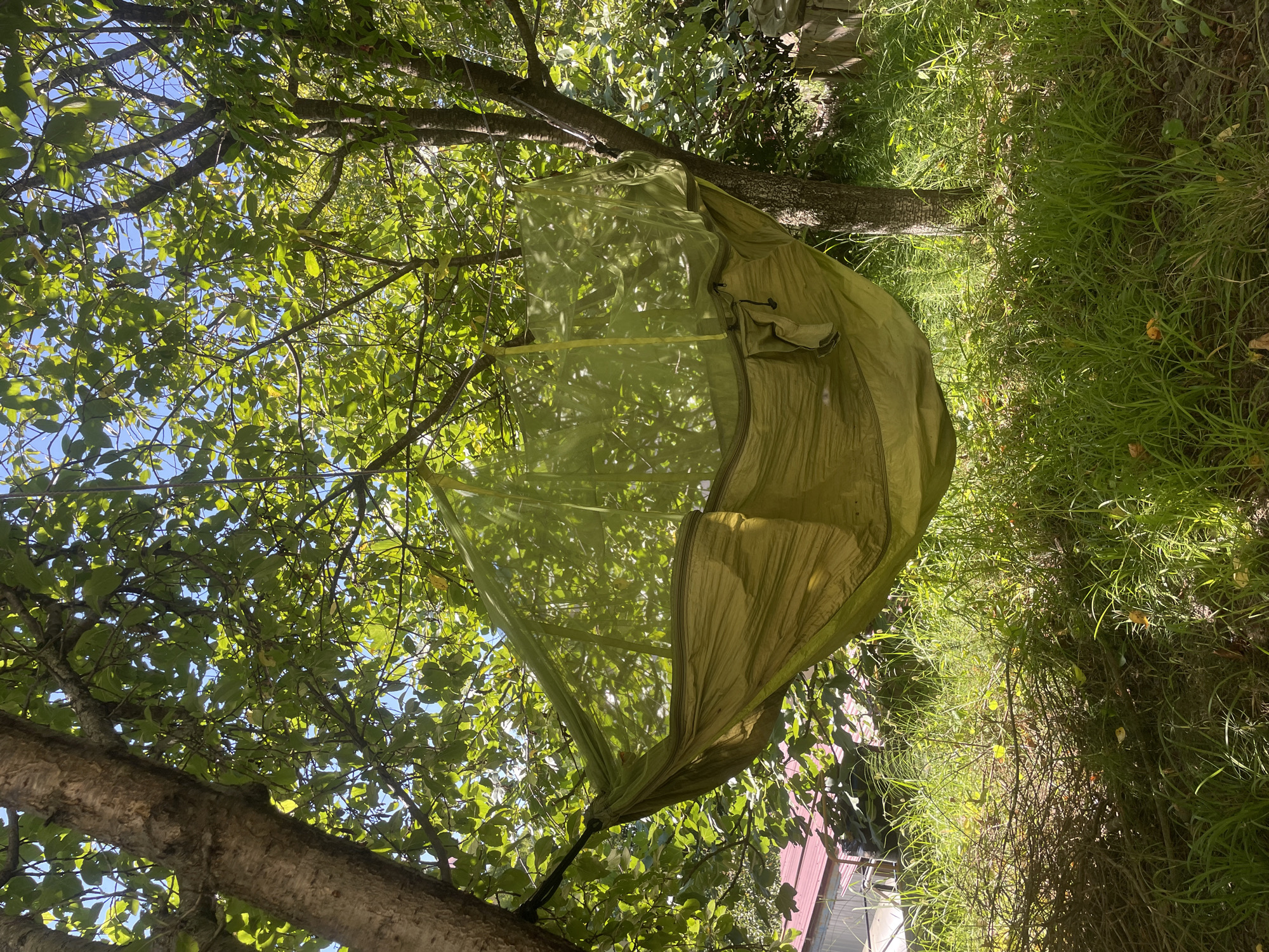 An olive-green hammock with a mosquito net is suspended between two trees in a grassy, sunlit area. The hammock is made of a fabric material and has a drawstring closure on one side. The mosquito net is a light green mesh that covers the entire hammock. The trees have rough bark and are covered in lush green leaves. The ground is covered in tall grass, some branches, and fallen leaves. In the background, there is a hint of a building with a red roof, and a wooden fence. The scene appears to be outdoors in a natural setting, possibly a backyard or a park.