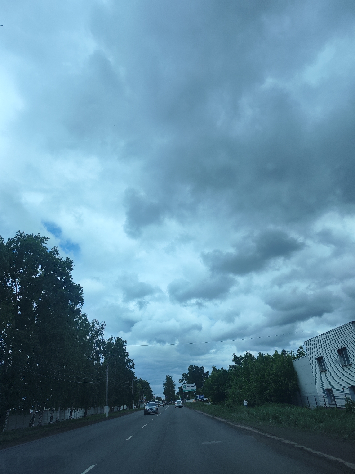 The image depicts a road in the city of Chaikovsky, Russia, under a cloudy sky. The road is asphalt, with white lane markings. Cars are visible on the road, moving in both directions. On the left side of the road, there is a row of tall trees along the curb. On the right side, there's a building with horizontal siding and several windows, along with some greenery and another sign. The weather is overcast, and the sky is filled with heavy clouds.