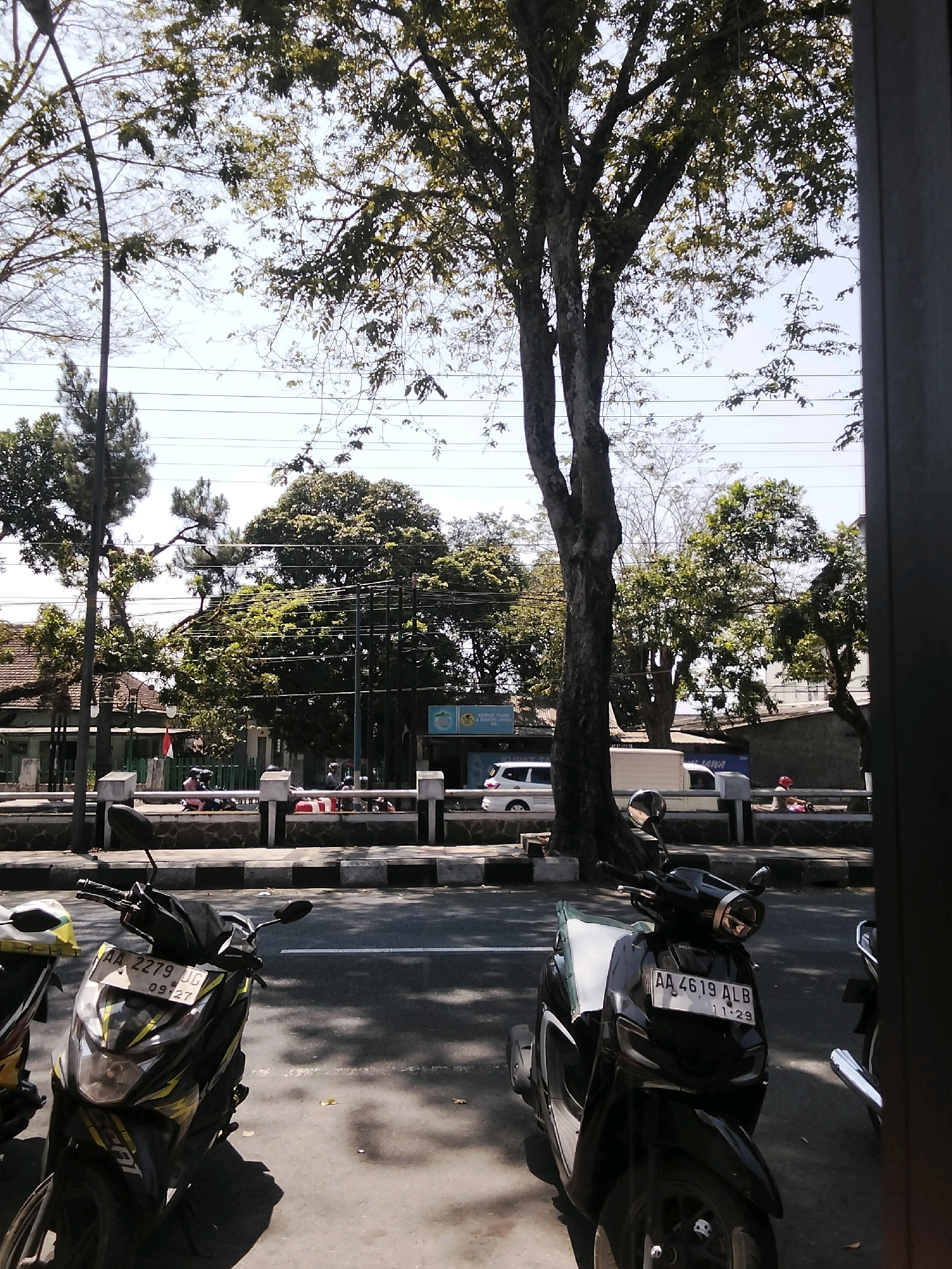 The image shows a street scene in the city of Magelang, Indonesia, on a bright, sunny day. A large, mature tree with dense foliage dominates the center of the frame, casting shadows on the asphalt road. In the foreground, two scooters are parked, one black and one black and yellow. The black scooter has a license plate that reads "AA 4619 ALB 11-29". The black and yellow scooter has a license plate that reads "AA 2279 UG 09-27". Across the street, there is a low wall with decorative stone accents, beyond which are buildings and more trees. A white van and a white car are visible in the background. Several people are casually sitting and standing near the buildings, and a person in a red hat is seen sitting on the wall. Electrical wires are strung across the sky. The overall impression is of a typical urban streetscape in a tropical climate, with lush vegetation and a mix of modern vehicles.