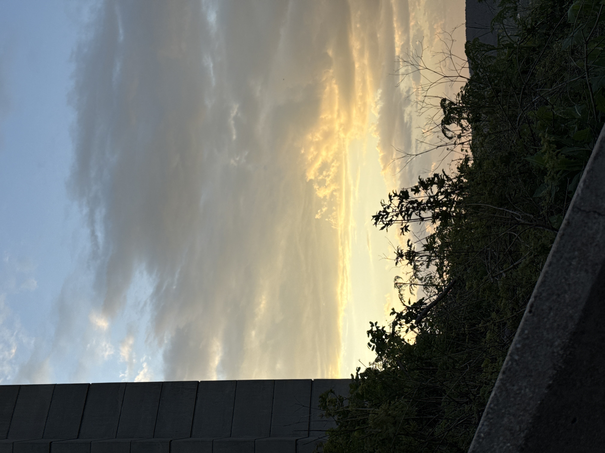The image, taken in Shumen, Bulgaria, depicts a sky with a mix of clouds transitioning from a muted blue on the left to a golden yellow in the center, indicating either sunrise or sunset. Silhouetted trees and dense green foliage are visible on the right. The bottom of the frame shows a concrete wall, constructed of stacked, rectangular segments, suggesting an urban infrastructure element like a bridge or retaining wall. A concrete rail is visible on the right side. No people are visible in the shot.