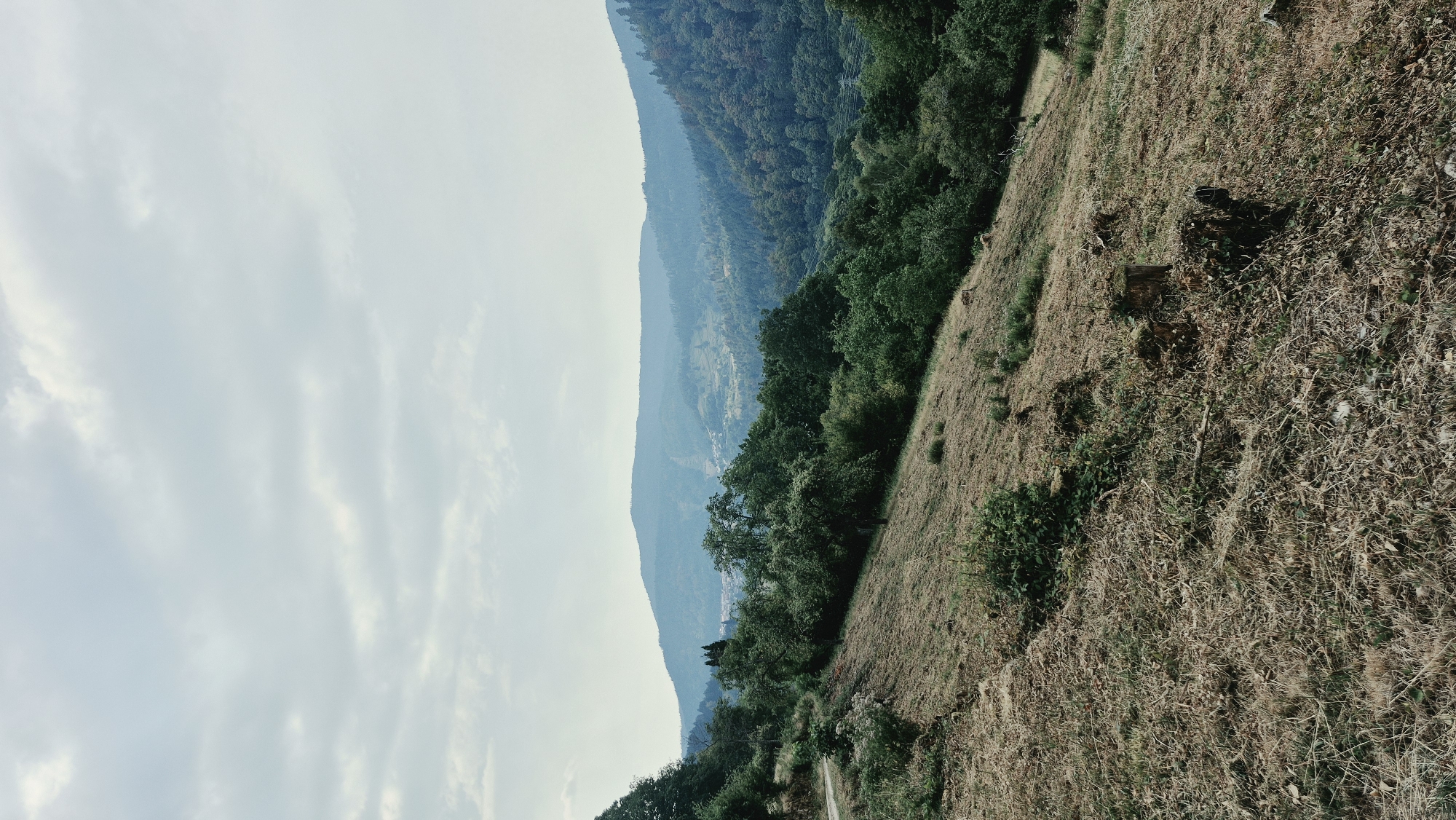 The image depicts a hazy, overcast sky over a verdant mountain landscape. In the foreground, a dry, grassy slope descends to the right, dotted with a few tree stumps and sparse vegetation. A winding dirt path is visible on the left side, leading further into the scene.
The midground is characterized by a dense forest that lines the slope. Beyond the trees, a valley unfolds with rolling hills, also covered in lush green foliage. In the distance, a small village or cluster of buildings can be seen nestled within the valley, partially obscured by the atmospheric haze. The overall impression is one of a rural, mountainous setting.
While the image is not specific to the city of Forbach, Germany, it is representative of the natural environment that can be found in the region, which is known for its forested hills and valleys.