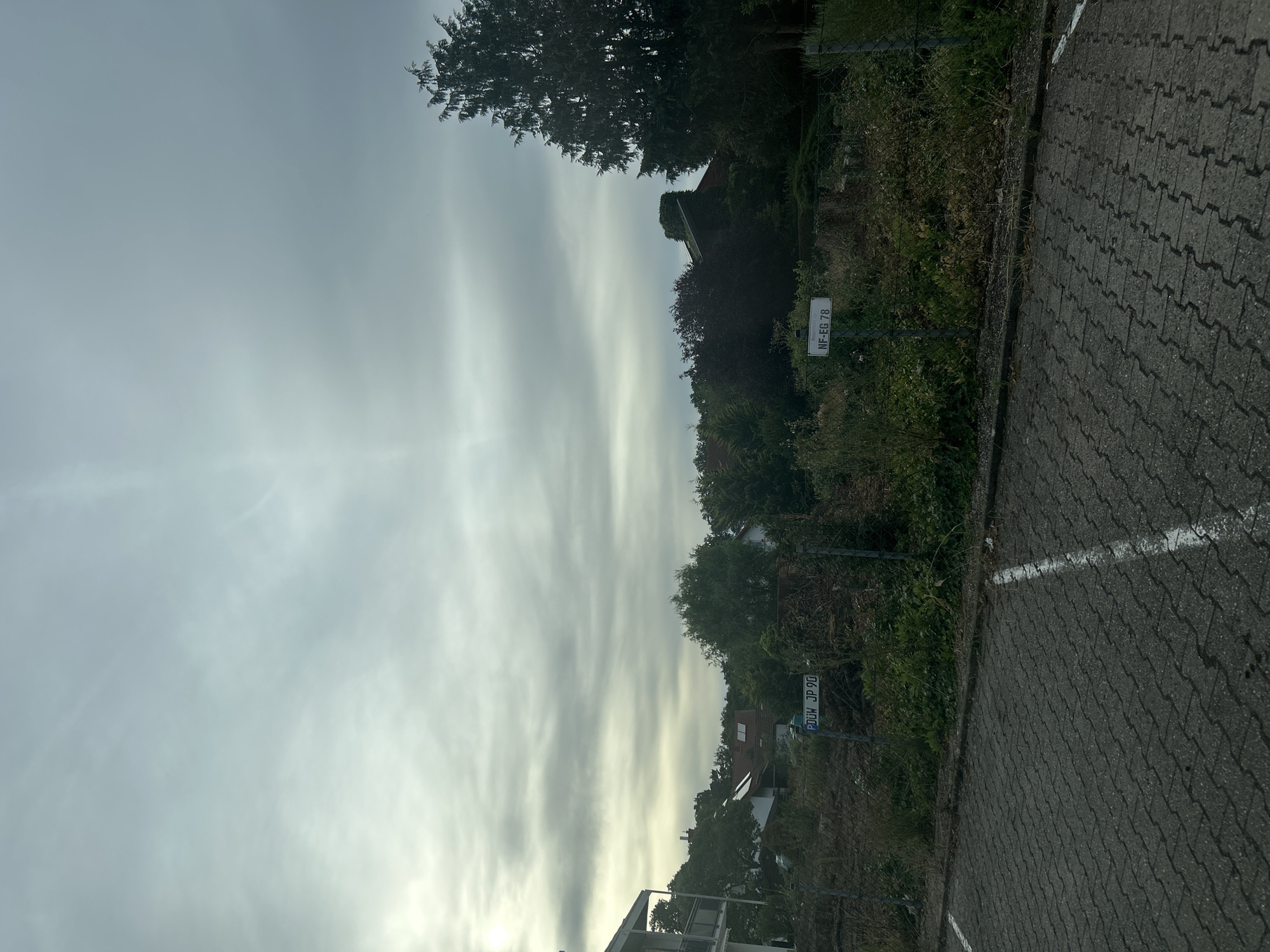 The image shows a cloudy sky over a residential area in Deidesheim, Germany. In the foreground, there is a paved parking lot with white line markings. A chain-link fence runs across the middle ground, separating the parking lot from a patch of overgrown vegetation. Beyond the fence, several houses with red-tiled roofs are visible, surrounded by trees. Two white signs are attached to the fence: one reads "DÜW JP 90" and the other reads "NF-EG 78". The overall scene suggests a somewhat unkempt property adjacent to a parking area, under an overcast sky.