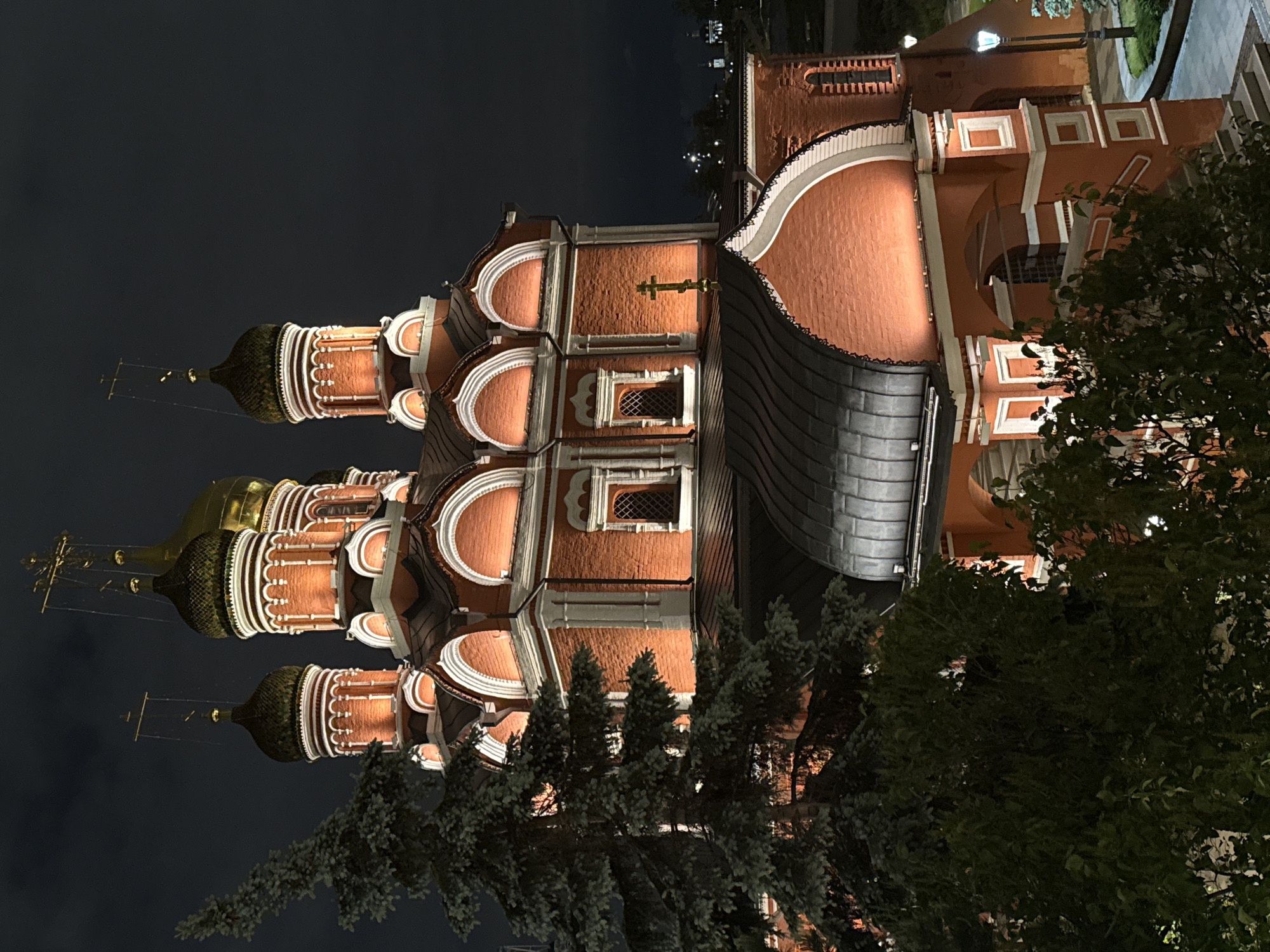 Captured at night, the image presents a medium shot of a brightly illuminated cathedral set against a dark sky. The building features a red brick exterior adorned with white trim, while multiple onion-shaped domes are topped with golden crosses. Dense, dark green foliage partially obscures the bottom portion of the cathedral. The image appears to be taken from a ground-level perspective, with the cathedral dominating the frame. The location is Unknown, Unknown.