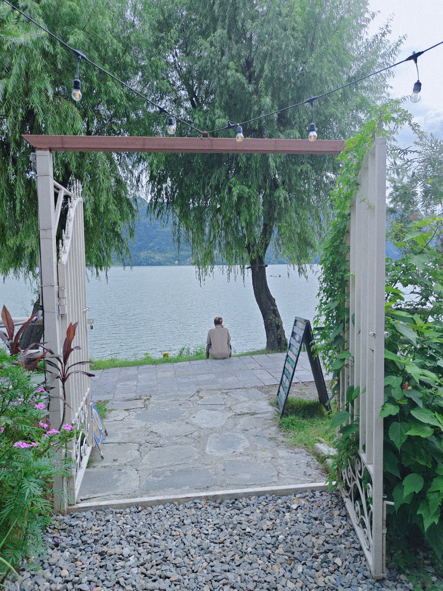The image captures a serene outdoor scene by Phewa Lake in Pokhara, Nepal. In the foreground, a white metal gate stands open, leading to a stone-paved path. To the left, lush green plants with small pink flowers bloom. The path leads towards the lake, where a lone individual, seen from behind, sits on the grassy bank, facing the water. The lake itself is calm and reflects the overcast sky and the distant, hazy mountains. A large willow tree with drooping branches overhangs the area, and string lights are suspended from a wooden beam above the path, suggesting a dining or seating area. To the right of the path, a blackboard sign stands propped up, displaying colorful information. The overall atmosphere is tranquil and picturesque, characteristic of the lakeside ambiance in Pokhara.