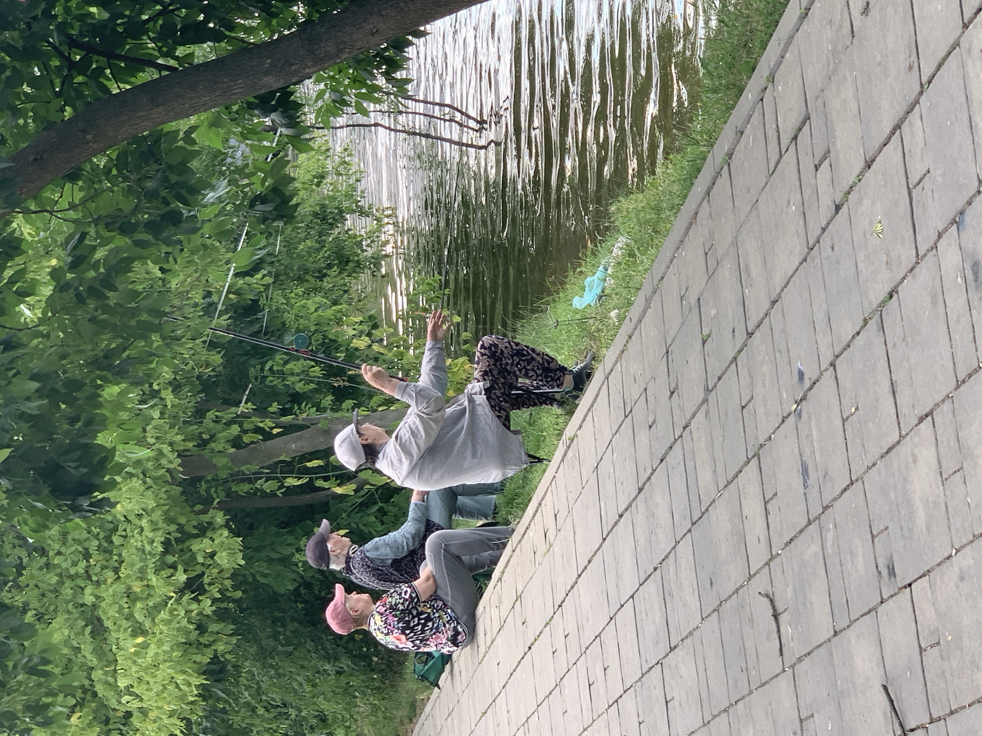 Three individuals are fishing on the bank of a body of water. The person on the left is wearing a pink cap and a colorful floral shirt with gray pants, sitting next to a green bag. To their right, another person wears a dark baseball cap and a dark vest over a light-colored shirt, with blue pants. The individual furthest to the right is wearing a light gray cap and a striped gray shirt with patterned dark pants, actively fishing with a rod. They are seated on a collapsible chair. The individuals are positioned on a paved walkway made of rectangular stone tiles, which runs alongside a grassy bank that slopes down to the water. The water has ripples and reflections of the surrounding trees. Lush green foliage and tree branches overhang the water and walkway. The scene appears to be in a park or recreational area.
