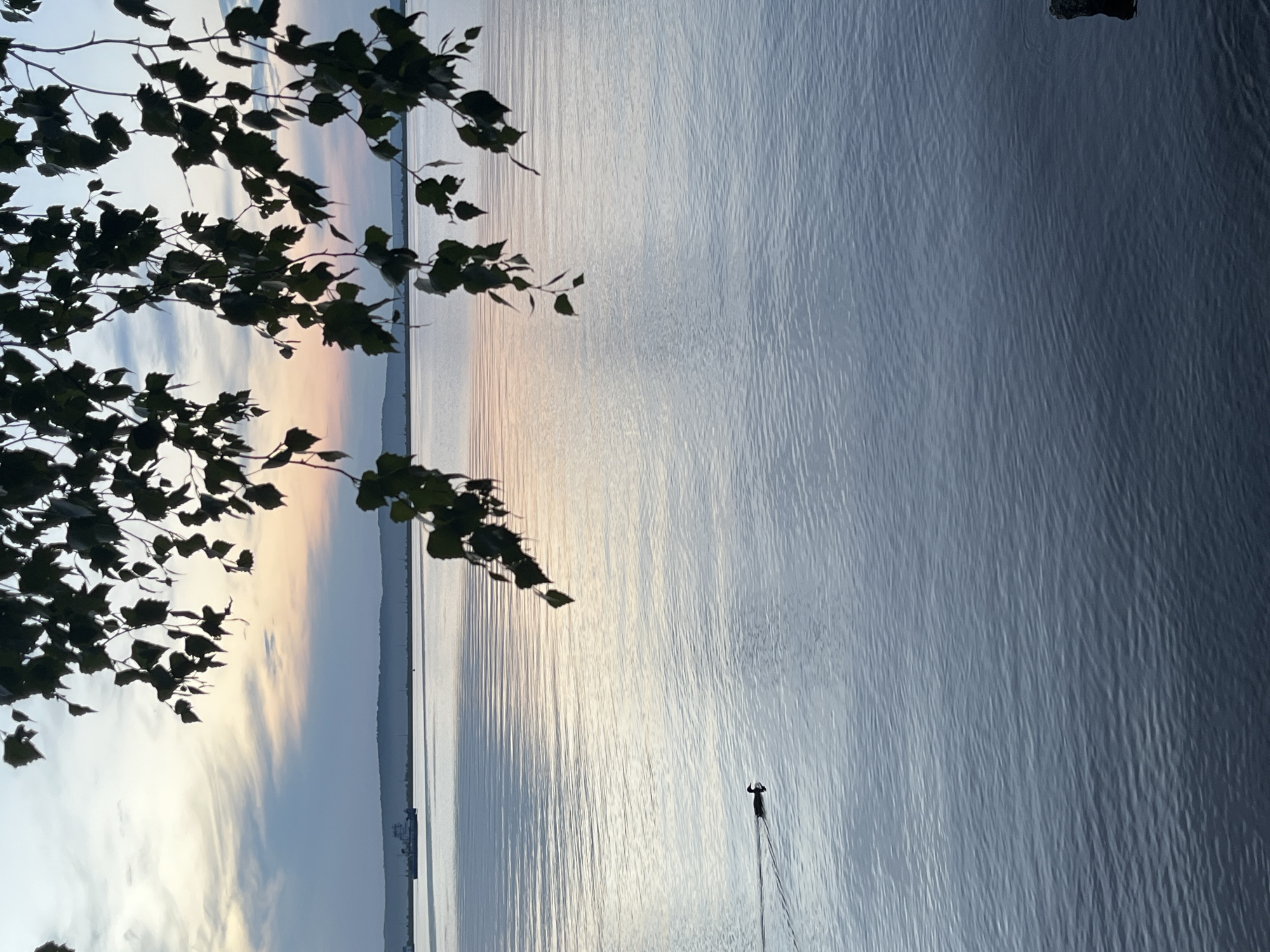 A tranquil body of water reflects the soft hues of a sunset, with a lone duck swimming in the foreground. In the distance, a large cargo ship navigates the calm expanse, while silhouetted hills line the horizon. The scene is framed by the dark leaves and branches of a tree, creating a natural border that enhances the serene atmosphere. The image is situated on the Kama River in Chaikovsky, Russia.