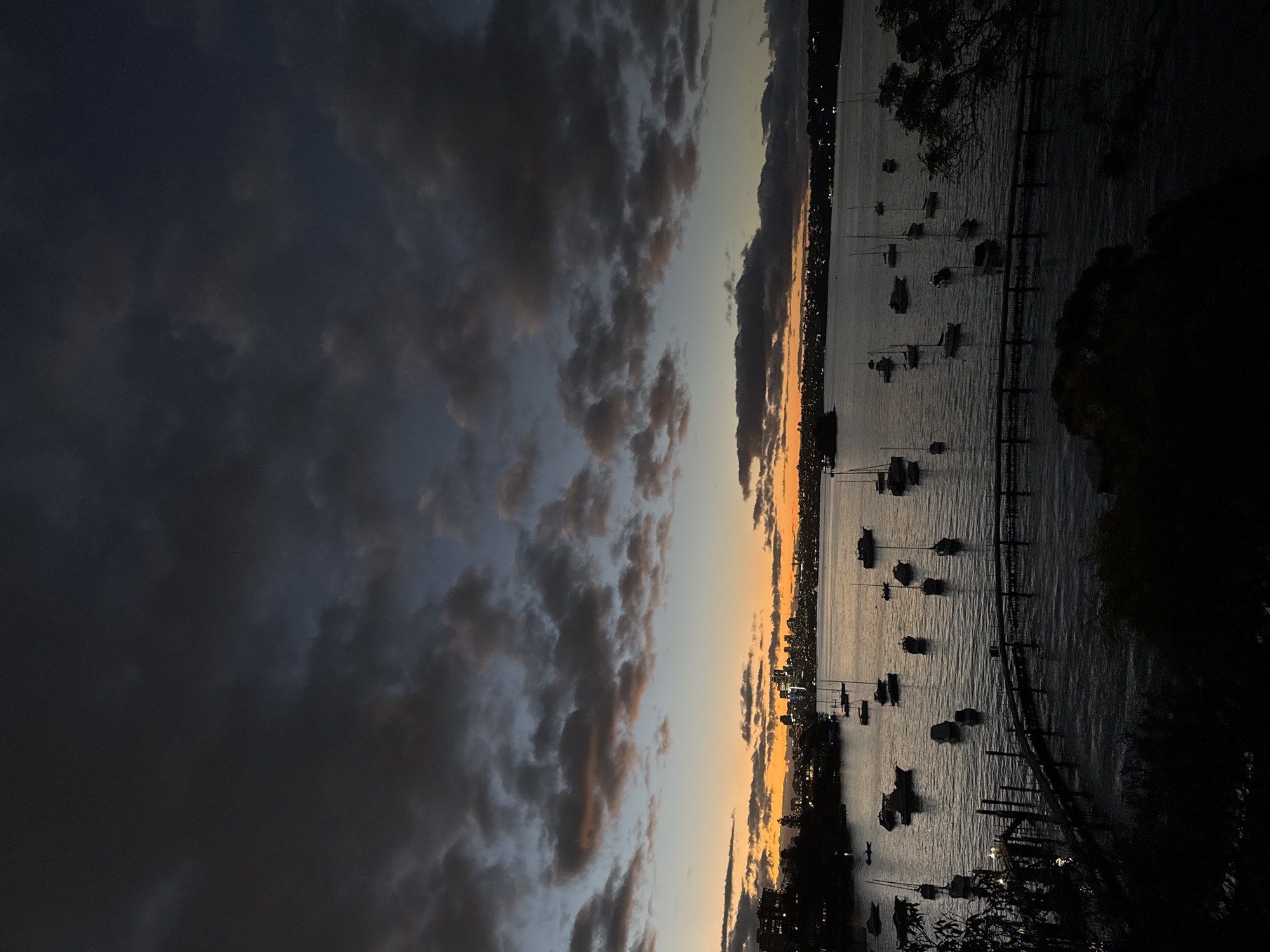The image captures a twilight scene over a body of water in Sydney, Australia, likely Sydney Harbour or a nearby bay. The sky is filled with dramatic, dark clouds interspersed with streaks of orange and yellow from the setting sun. A cityscape, featuring illuminated buildings, is visible on the horizon in the distance, suggesting an urban setting. Numerous boats, including sailboats and motorboats, are moored on the water, their forms silhouetted against the darkening sky and reflective surface. In the foreground, a dark, silhouetted pier extends into the water, and dense foliage frames the bottom of the image, adding depth and context to the coastal environment. There are no people visible in the image.