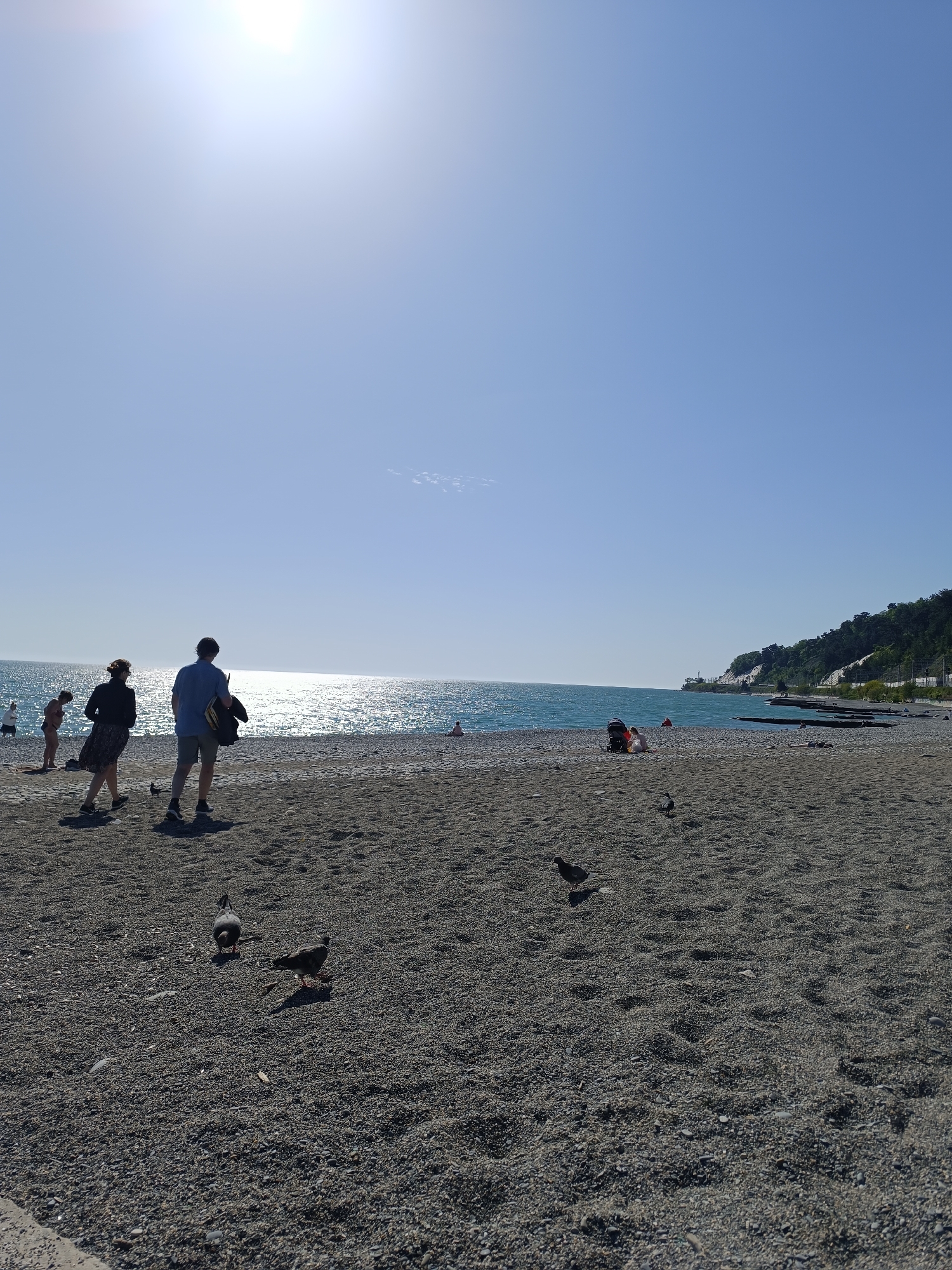 The image captures a sunny day at a beach in an unknown city. The beach is composed of small, dark pebbles, with several pigeons scattered across the foreground. A few people are walking along the beach near the center of the frame, while others are relaxing closer to the water. The sea glistens under the bright sunlight, and a tree-covered cliff rises in the background on the right side of the frame.