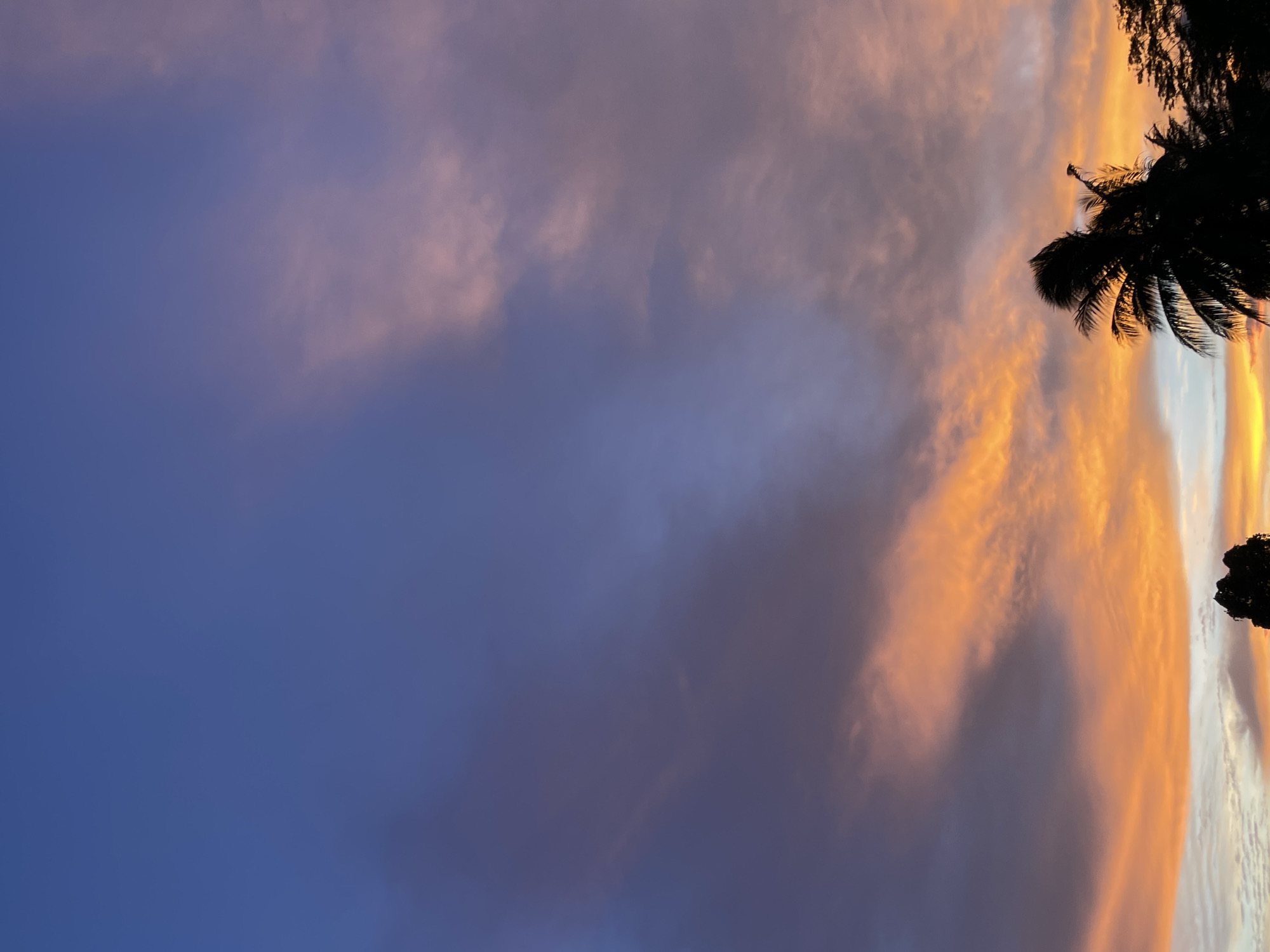 The image shows a dramatic sunset over the city of Manado, Indonesia. The sky is filled with vibrant colors, ranging from deep purple and blue at the top to bright orange and yellow near the horizon. Wispy clouds are illuminated by the setting sun, creating streaks of light across the sky. Silhouetted against the colorful sky are the tops of trees, including a prominent palm tree on the right side of the frame. The overall impression is one of a beautiful and peaceful evening in Manado.