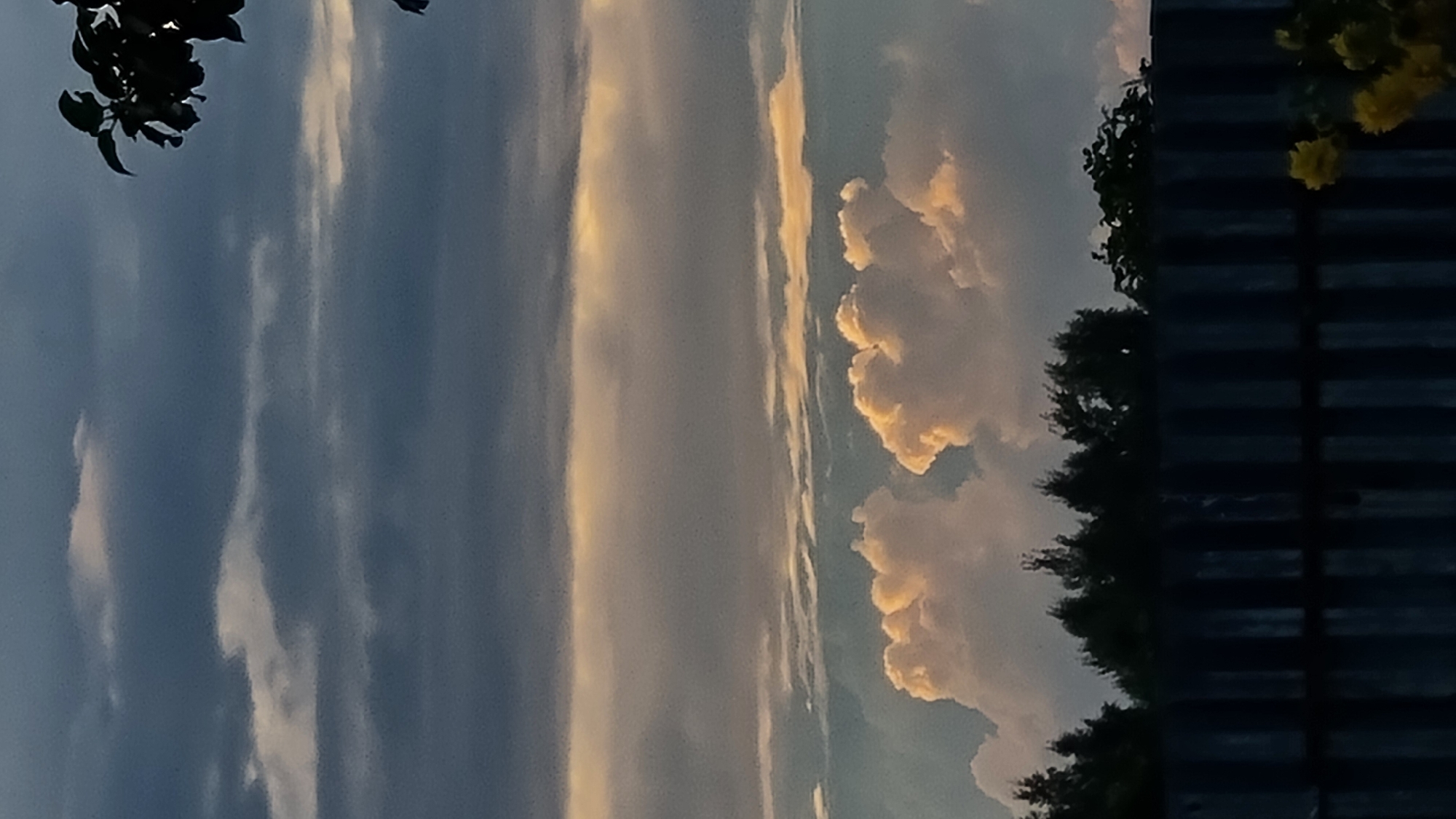 The image depicts a cloudy sky above a dark fence and silhouetted trees. The sky features several layers of clouds, with darker, heavier clouds in the upper portion and lighter, more illuminated clouds, some with a golden hue, towards the middle and lower sections. The clouds appear to be illuminated from the side, suggesting either sunrise or sunset. Below the clouds, a line of dark green, conical trees is visible, forming a dense band across the horizon. In the foreground, a dark, corrugated fence runs horizontally, obscuring the lower part of the scene. To the right of the fence, a small cluster of yellow flowers is partially visible. The overall impression is a natural landscape scene under a dramatic sky. The provided metadata states the location is Vysokoe, Russia.