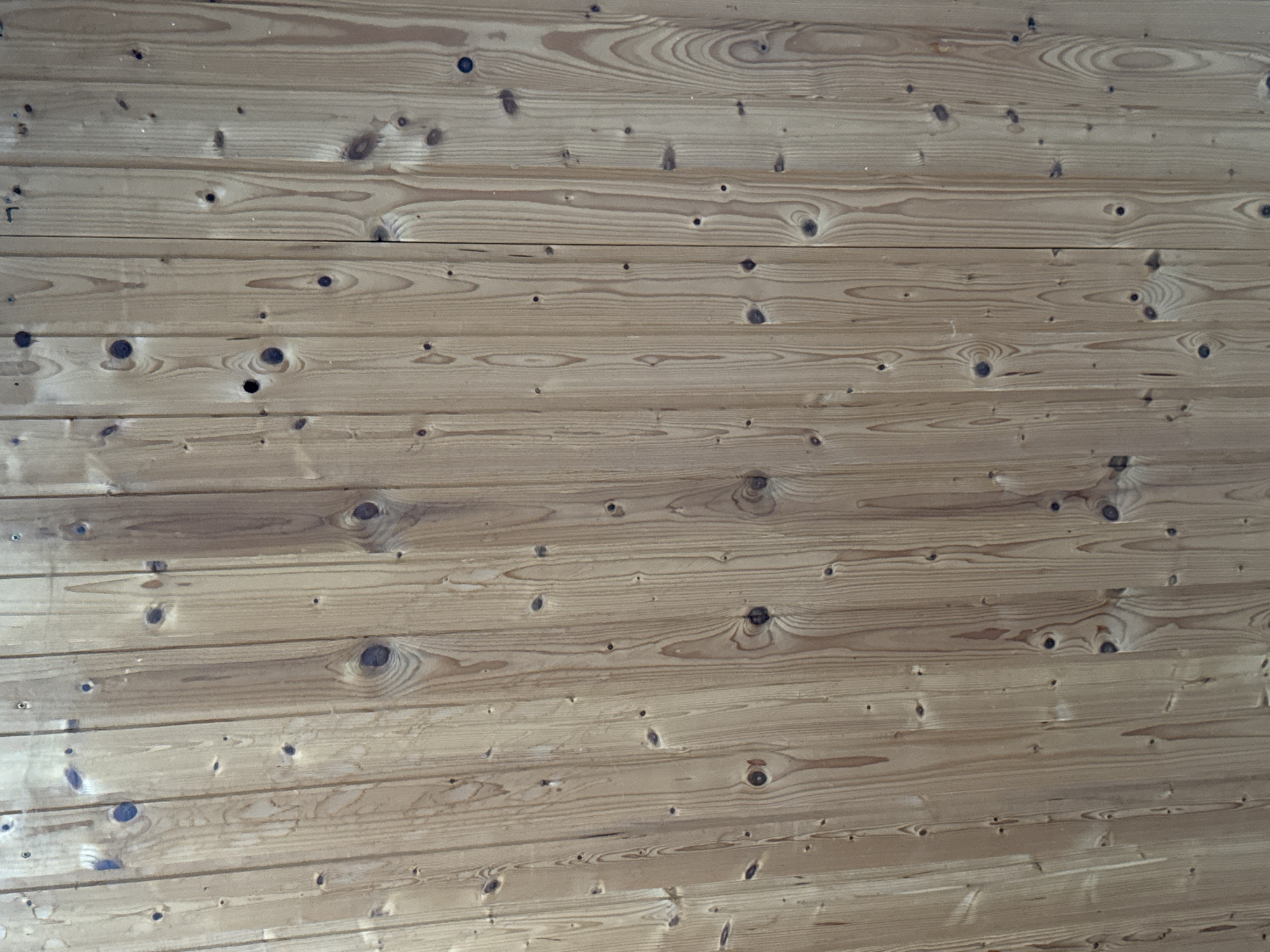 The image shows a close-up view of a light-colored wooden wall. The wood is vertically planked and has a natural grain pattern with visible knots. The planks are of varying widths and are joined together to form the wall. The lighting is even, casting no distinct shadows. There are no people, objects, or actions depicted in the image. The setting is a plain wooden wall, and without further context, its specific location in Speyer, Germany, cannot be determined from the visual information alone.