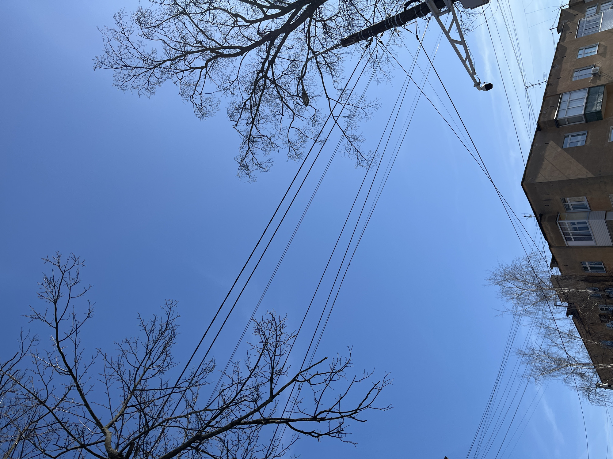 The image shows a view looking up at a clear blue sky in Izhevsk, Russia. Bare tree branches are visible in the upper left and lower right corners, suggesting it is either winter or early spring. Power lines crisscross the sky. Part of an apartment building is visible on the right, with windows and balconies. A white metal support structure with a surveillance camera is also visible near the top center of the frame.