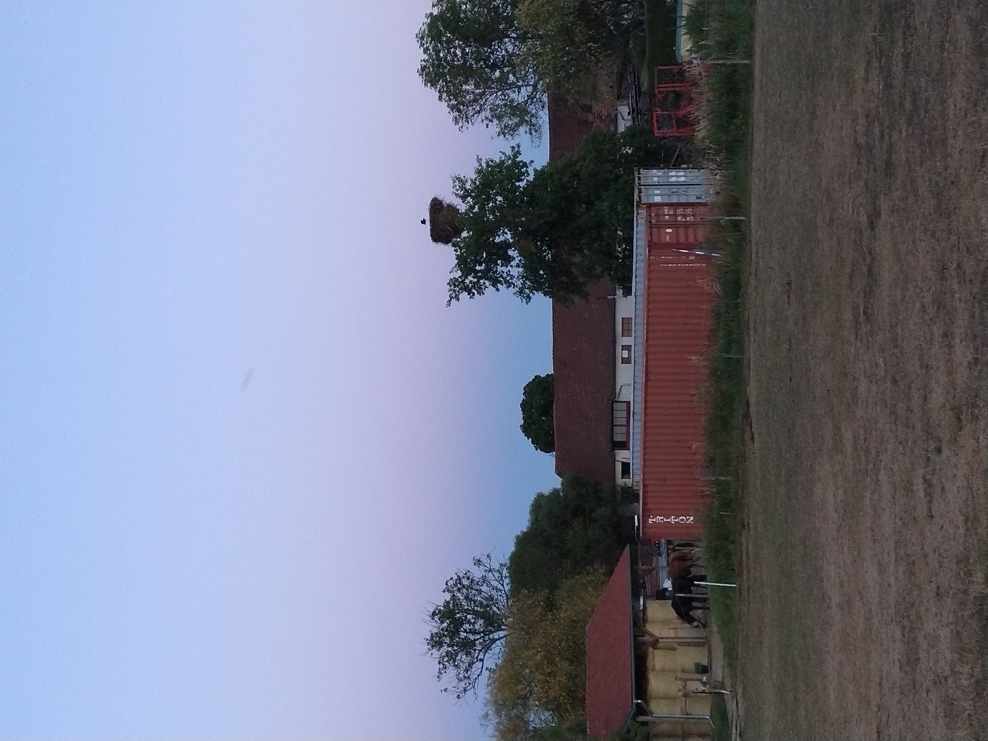 A rural scene is depicted at dusk with a clear sky displaying gradients of light blue and pink. In the mid-ground, several structures are visible. To the left, a barn-like building with a red roof is partially obscured by bales of straw. Adjacent to it, two horses are present, one dark brown and one lighter brown, grazing. Dominating the center of the mid-ground is a large, red shipping container labeled "TRITON." Behind the container, a cluster of trees stands, with one notably tall tree featuring a large stork's nest at its peak. A solitary stork is perched within the nest. Further to the right, parts of buildings with red roofs are visible, along with more trees and vegetation. The foreground consists of a grassy field. The scene is set in Dobev, Czechia.