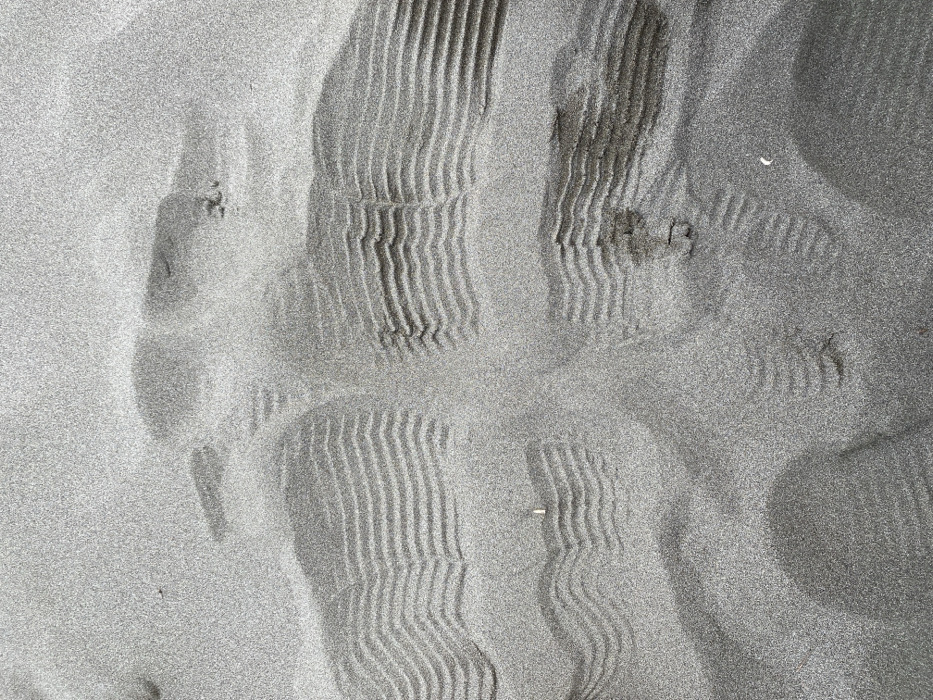 The image displays a close-up, top-down view of fine-grained, light-gray sand, consistent with a sandy beach in Ulcinj, Montenegro. The sand surface is marked by multiple impressions. Several distinct shoe or boot prints are visible, characterized by a ribbed tread pattern consisting of parallel, horizontal ridges, approximately 1-2 cm in width, often with a central longitudinal depression. These prints indicate foot traffic across the sand. A narrower, linear track, approximately 10-15 cm wide, runs generally vertically through the center of the frame, showing a segmented pattern consistent with a small tire or roller. This track appears to intersect and overlay some of the shoe prints. Discarded objects embedded in the sand include a light-tan cigarette butt located in the lower-left quadrant and a small, irregular white fragment, possibly a shell, in the lower-right quadrant. No individuals or other environmental features are visible.