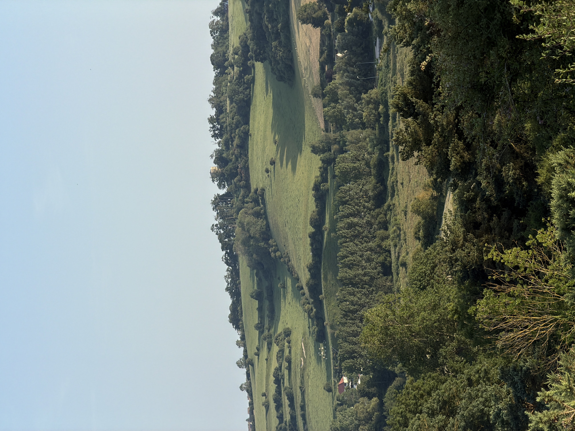The image displays a pastoral landscape, likely in Dieppe, France. The scene is dominated by rolling green hills covered in lush grass and dotted with trees. Some of these trees are clustered together, forming dense woodlands along the contours of the hills, while others are more sparsely scattered across the fields. In the distance, a small cluster of buildings, one with a red roof, can be seen nestled amongst the trees, suggesting a rural dwelling or small hamlet. The sky is clear and bright, indicating a sunny day, possibly late morning or early afternoon, with soft shadows cast by the trees across the grassy slopes. The overall impression is one of tranquility and natural beauty. There are no people or specific objects clearly discernible as central subjects, but the landscape itself is the main focus. The time of day appears to be daytime, with clear skies and sunlight illuminating the scene. The location is suggested to be Dieppe, France, consistent with the rolling hills and agricultural-looking landscape.