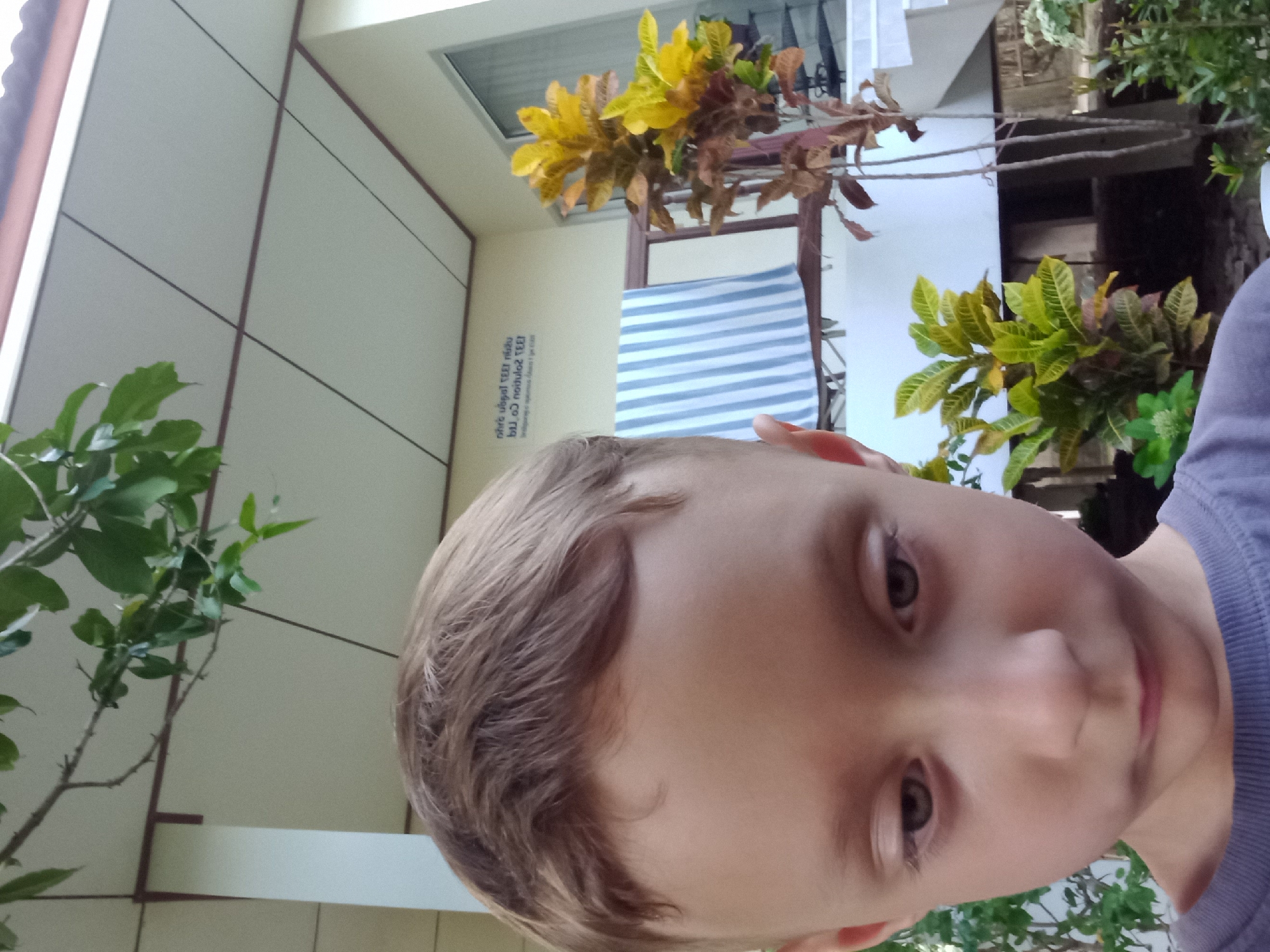 A young boy with light brown hair is in the foreground of the image, looking down with his head tilted slightly. He is wearing a purple t-shirt. Behind him, a building with a white ceiling and beige walls is visible. A branch with green leaves hangs from the top left corner of the image. A railing with a blue and white striped towel draped over it is to the boy's right, along with a potted plant with yellow and red leaves. Stairs and more foliage are visible in the background. The scene appears to be outdoors, possibly on a porch or balcony, in Baan Mae Nam, Thailand.