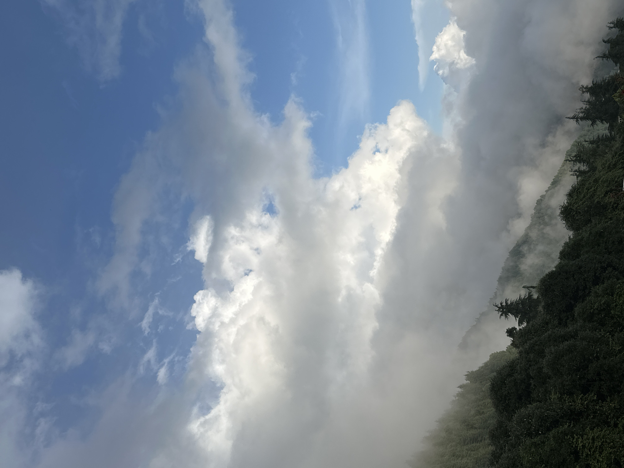 The image shows a panoramic view of a mountainous landscape shrouded in mist and clouds. The foreground is dominated by dark green foliage, likely trees, covering steep slopes. Some taller coniferous trees are visible among the dense foliage, their tops reaching towards the misty sky. The mist obscures the details of the terrain further up the mountain. Above the mist and mountains, a bright blue sky is visible, dotted with large, fluffy white clouds, some of which are illuminated by sunlight. The overall impression is one of a dramatic and atmospheric natural scene in a high-altitude location. There are no people, animals, or man-made structures clearly visible in the image.
The location is identified as Haini, India, which is situated in the Kumaon region of Uttarakhand. This region is known for its Himalayan foothills, dense forests, and frequent cloud cover, particularly during certain seasons. The scene depicted is consistent with the typical topography and atmospheric conditions of this area.