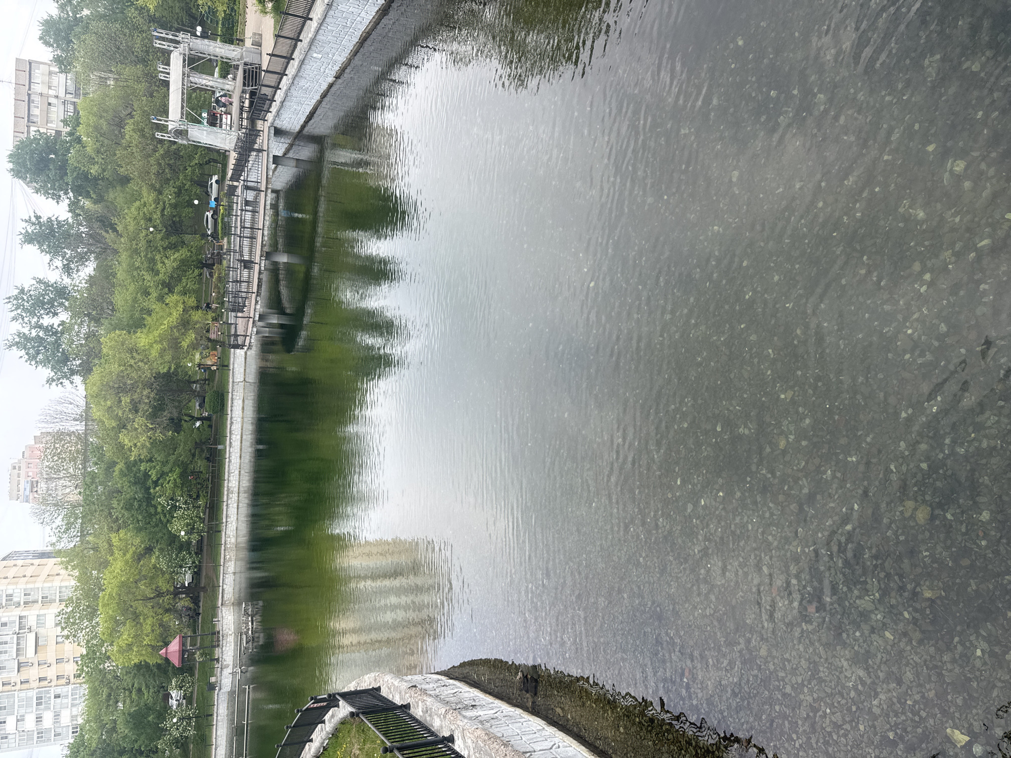 This image depicts a view of a lake or pond in what appears to be a park in Khabarovsk, Russia. The water is calm with some ripples and visible pebbles or stones at the bottom. The shoreline is constructed with stone and a black metal fence runs along the perimeter. Trees and buildings are visible on the opposite bank, reflecting in the water. A small, red-roofed structure is noticeable along the shoreline. A bridge-like structure with metal supports spans part of the water. The sky is overcast, suggesting it is a cloudy day.