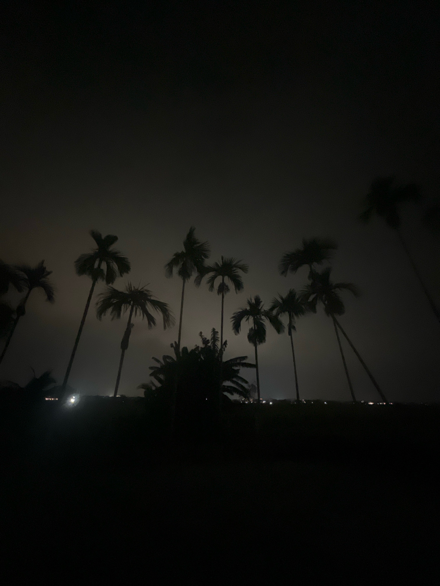 This is a nighttime, vertical, low-angle shot of several palm trees silhouetted against a hazy, dark sky. The scene appears to be in a rural area on the outskirts of Hoi An, Vietnam, where faint lights from the city can be seen in the distance along the horizon. The palm trees are the primary subjects, their fronds and slender trunks clearly defined against the subdued background. The overall atmosphere is dark and somewhat mysterious, with the limited light obscuring details of the surrounding environment.