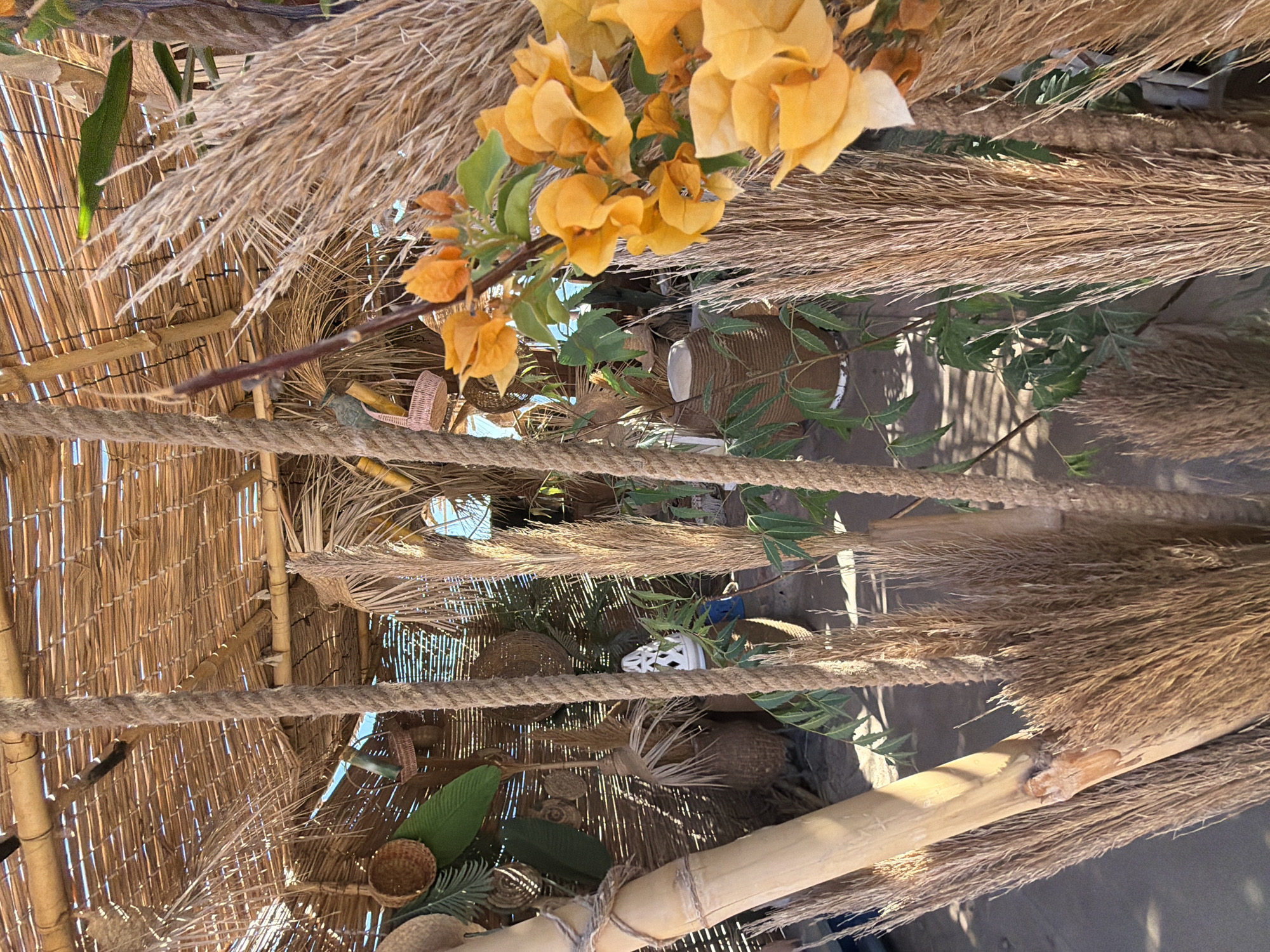 A close-up, eye-level shot captures an outdoor scene in Sharm El Sheikh, Egypt, likely a cafe or seating area decorated with natural materials. The foreground is dominated by thick, brown ropes and tall, dried grasses that create a somewhat obstructed view. To the right, a cluster of bright orange bougainvillea flowers adds a splash of color, partially obscuring more dried grasses.
Behind the foreground elements, a rustic structure with a thatched bamboo roof is visible. The walls of this structure appear to be made of woven reeds or similar natural materials. Various decorative items are hung or placed within the structure, including woven baskets, large green leaves, and a white ceramic lantern. A large bamboo pole runs vertically along the left side of the frame, wrapped with rope. Sunlight filters through the thatched roof, creating patterns of light and shadow on the ground. The overall impression is one of a relaxed, bohemian-inspired outdoor space.