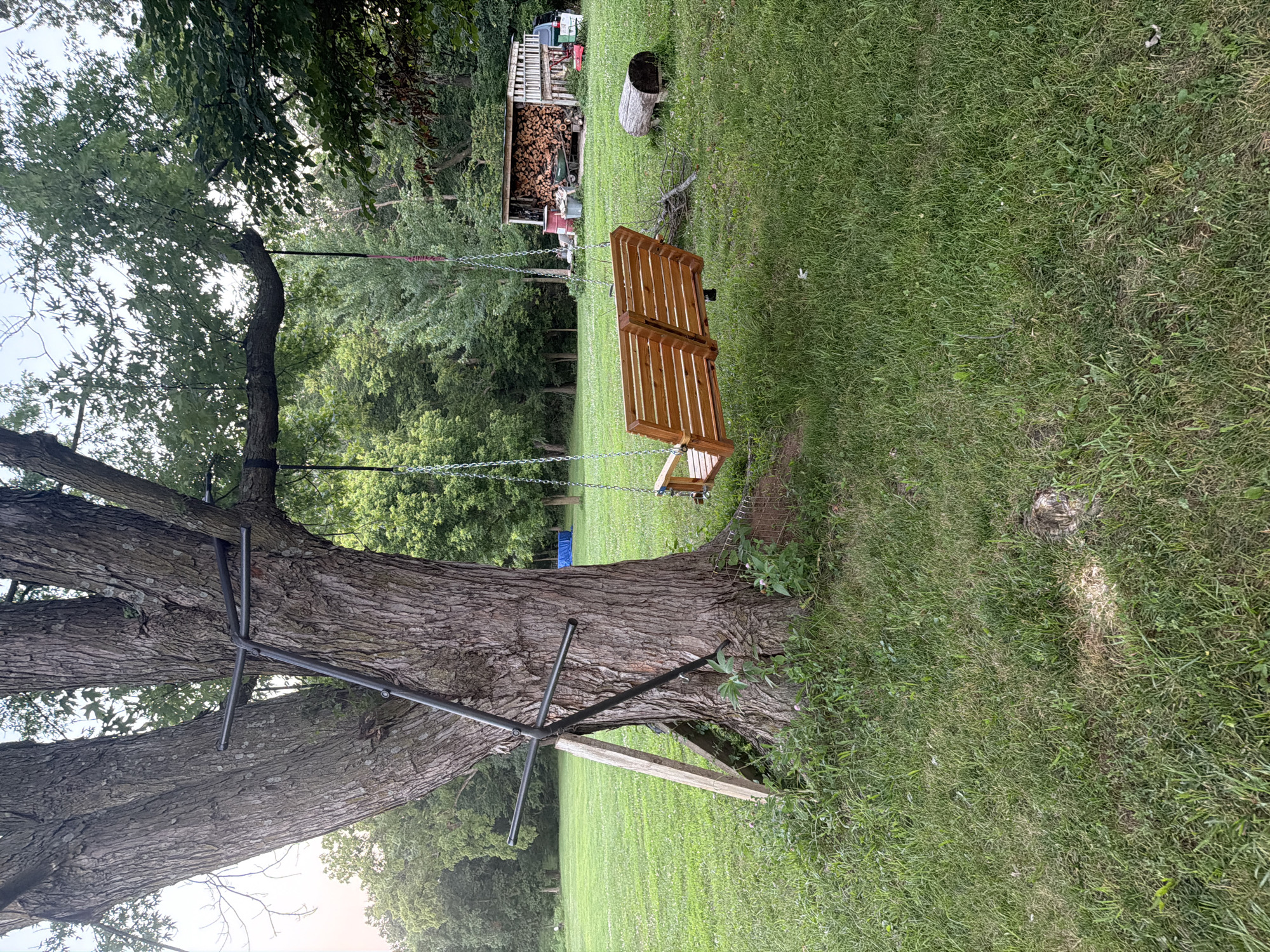 A wooden swing with two seats hangs from a large tree in a grassy yard. A metal frame is attached to the tree trunk, supporting one of the swing's suspension points. In the background, a shed filled with firewood is visible, along with a wheelbarrow and a truck. The location is identified as Holt, Michigan, United States. The scene is set outdoors during the day with natural lighting.