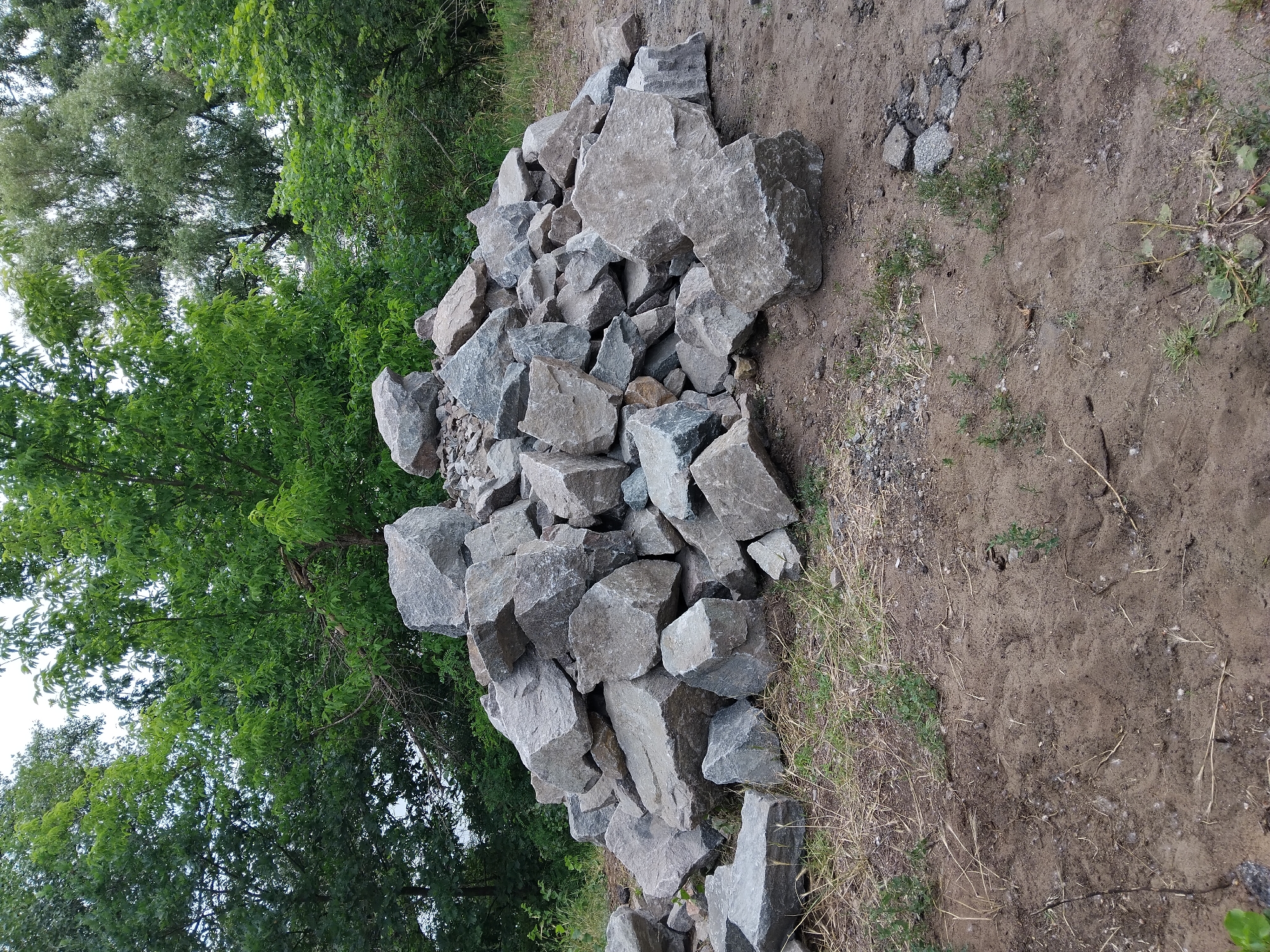 A pile of large, gray rocks is situated on a patch of dirt and dry grass. Behind the rocks, a dense thicket of green trees and foliage fills the background. The scene appears to be outdoors in a natural or semi-urban setting. The specific location within Kyiv, Ukraine is not discernible from the image alone. There are no people or discernible actions in the image.