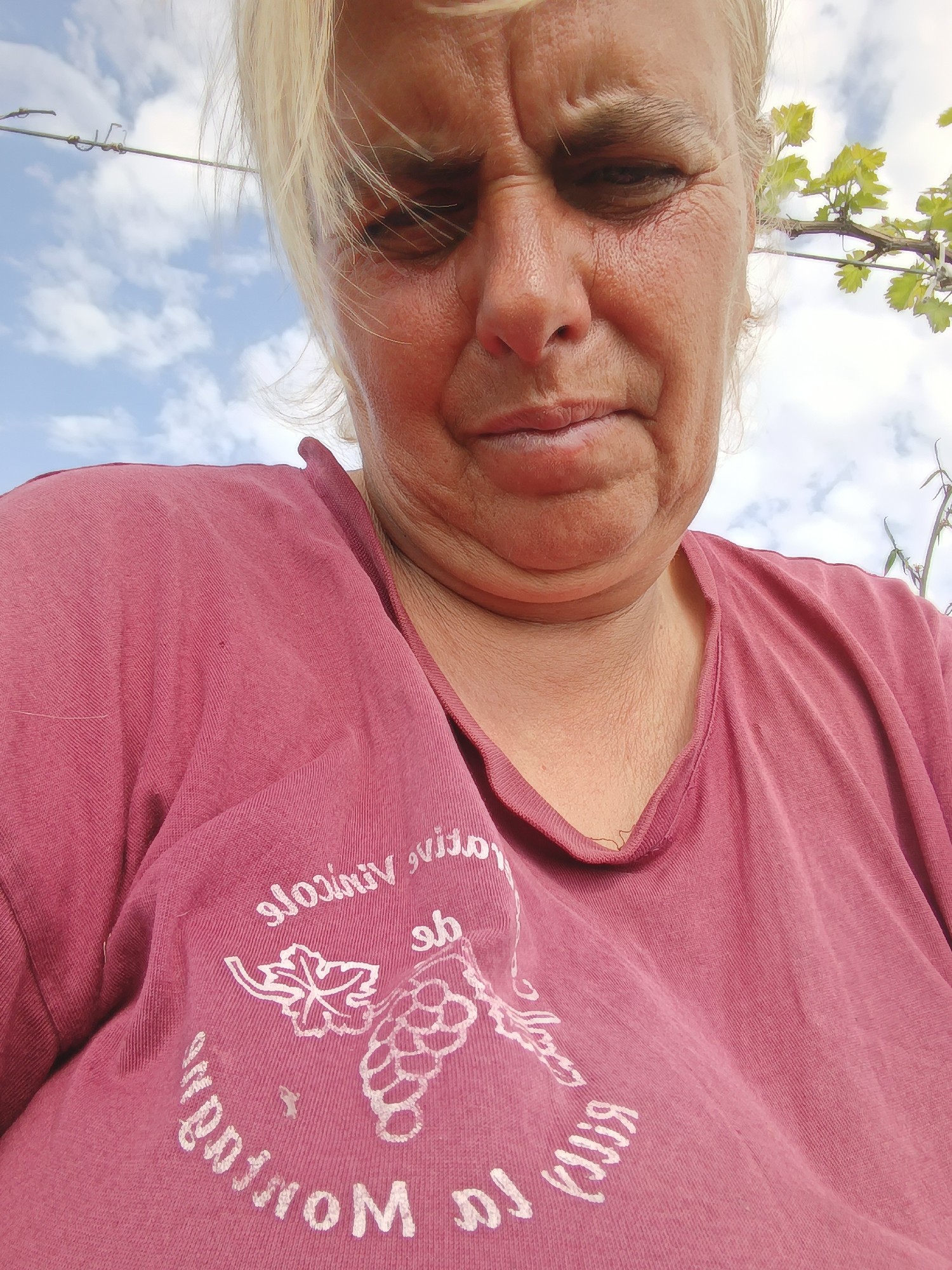 A close-up, low-angle shot focuses on an older woman with fair skin and blond hair. Her face exhibits wrinkles, particularly around her eyes and mouth. She has a somewhat downturned expression. The woman is wearing a reddish-pink T-shirt featuring a white graphic. The graphic appears to include a grape leaf, a bunch of grapes, and text that is partially visible as "Vinicola de Montfort". In the background, the sky is visible, showing a combination of blue patches and white clouds. A plant with green leaves, possibly a vine, is also present on the right side of the frame. The location is unknown.