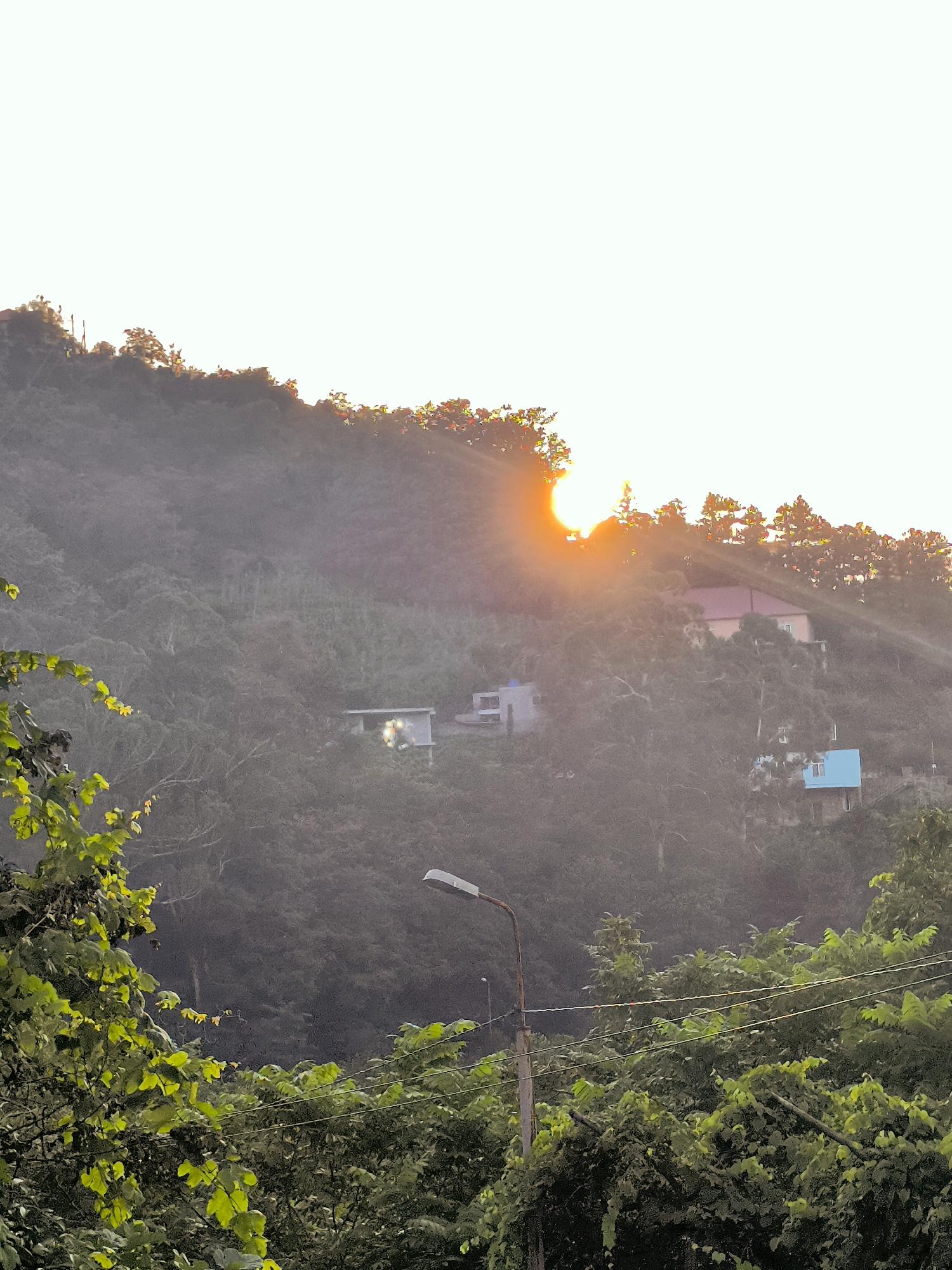 A low-angle, full shot captures a hazy, sun-drenched hillside on an overcast day. The sun, a blinding orb, peeks through a dense canopy of trees at the top of the frame, casting warm light on the scene. Houses are nestled into the mountainside, some with lights on, suggesting occupancy. Lush greenery, including vines and foliage in the foreground, adds a vibrant touch to the misty landscape. A streetlamp stands sentinel in the middle ground, its light diffused by the ambient haze. The sky is bright and cloud-covered, hinting at a humid or misty atmosphere. The overall impression is one of a tranquil, albeit slightly mysterious, rural setting.