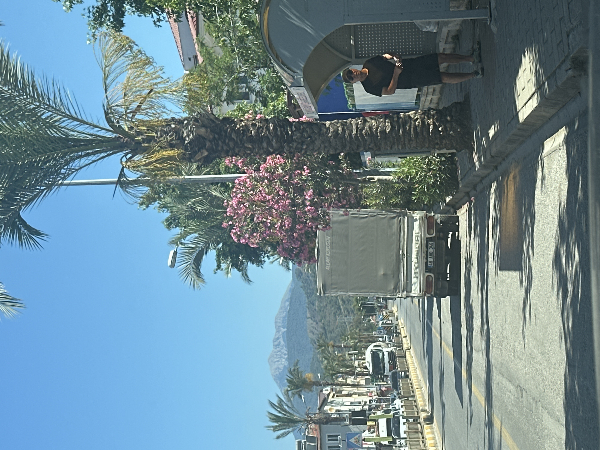 A sunlit street scene in Fethiye, Turkey shows a road crowded with cars and trucks, alongside a sidewalk. On the sidewalk stands a person wearing dark clothing and sunglasses at a bus stop. Palm trees line the street, some interspersed with pink flowers. Mountains are visible in the background. A utility truck is parked on the side of the road.