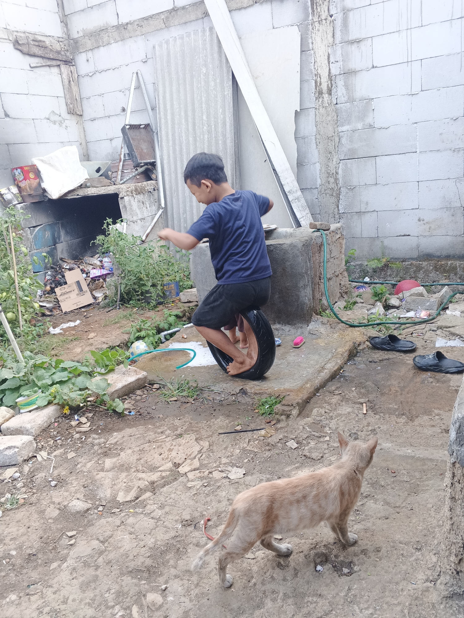 In a gritty, outdoor yard in Warungkiara, Indonesia, a young boy in a navy blue t-shirt and black shorts is practicing riding a unicycle made from a tire. He is balanced precariously, with one foot on the tire and the other dangling. The yard is cluttered with debris, including trash, broken concrete, and overgrown plants. In the foreground, a light brown cat with white paws and a white tail walks away from the camera, its back to the viewer. In the background, a rough brick wall and corrugated metal sheeting suggest a makeshift or under-construction structure. A green hose snakes across the ground, and a discarded pair of black sandals lies near a concrete platform.