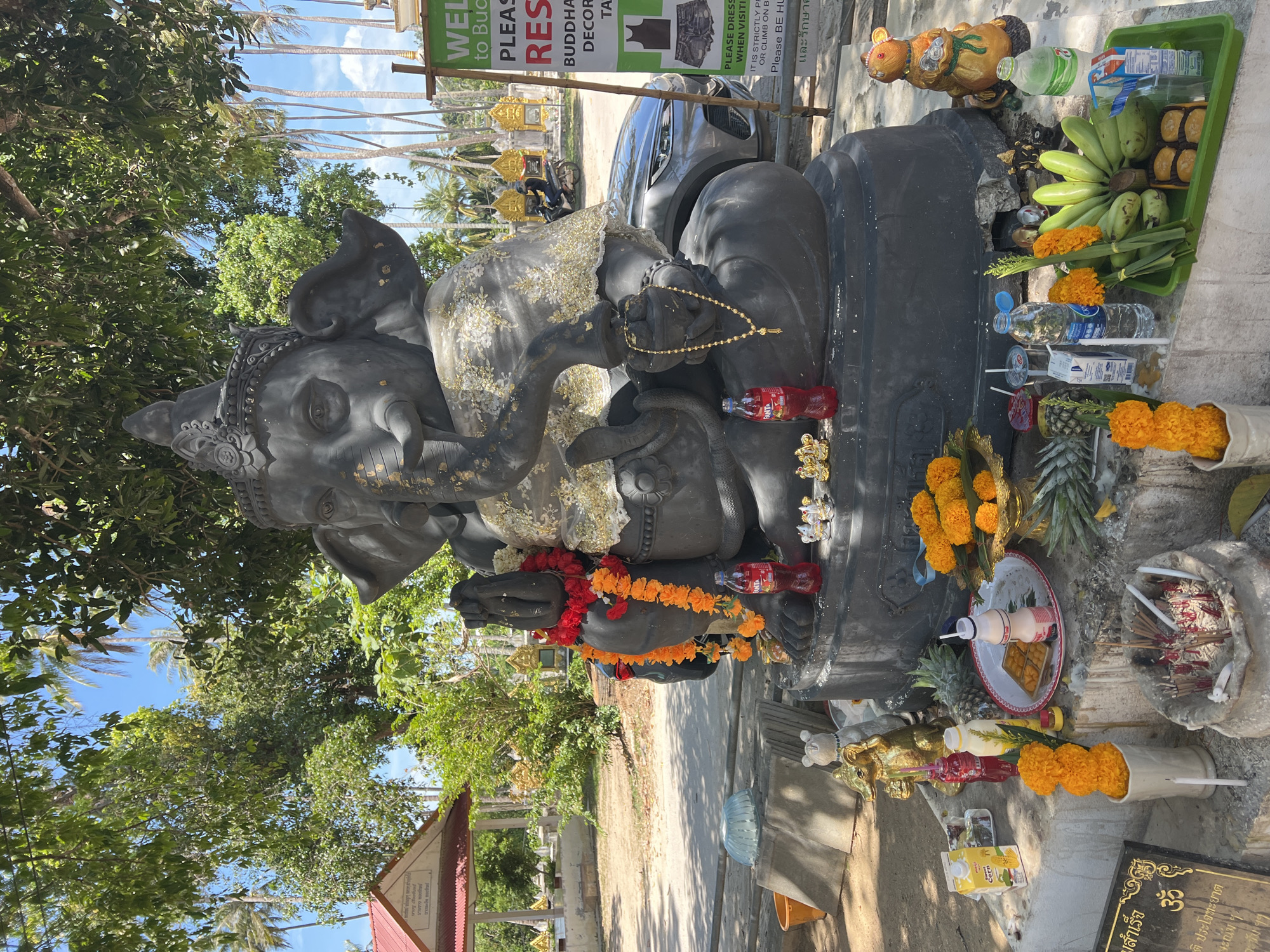 This is a medium-shot, eye-level photograph of a large, dark gray statue of Ganesh, the Hindu deity, situated outdoors. The statue is adorned with a red and orange flower garland around its neck and a gold-colored fabric with intricate patterns draped over its chest and shoulder. Ganesh is depicted with its trunk curled and one tusk broken, holding an axe in its right hand and a sweet in its left. The statue sits on a stone pedestal.
In front of the statue, on the pedestal, are various offerings: two small bottles of red Fanta, several small golden figurines, an incense burner filled with burnt incense sticks and ashes, a white vase with three orange marigold flowers, a white cup with a single white candle, a small container with a yellow liquid, a small yellow carton of "Meiji Corn" milk, a white tray with small yellow candies, a bottle of pink yogurt drink, a pineapple, and a bunch of green bananas on a green tray, accompanied by a few more yellow candies. To the right of the statue, a golden, mouse-like figurine is placed.
The background reveals a sandy ground, some concrete structures, and lush green foliage from trees and palm trees. In the middle ground, a gray car is parked behind the statue. To the right, a green sign with white text is visible, indicating "WELCOME TO BUCKEYE. PLEASE DRESS RESPECTFULLY. BUDDHIST DECORATION. TATTOO." Further back, several golden temple-like structures with pointed roofs can be seen, and a person is riding a motorbike. The sky is blue with some clouds. The overall impression is that of an outdoor shrine or temple in a tropical location.
The location is identified as Ko Samui District, Thailand, based on the presence of palm trees, tropical foliage, and temple-like structures commonly found in the region, as well as the style of the offerings and the signage which is partially in Thai.
