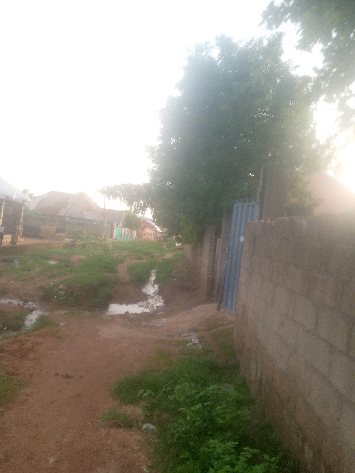 A street-level view captures a rural or semi-rural scene in Jalingo, Nigeria. The foreground is a dirt path with a shallow, muddy ditch running alongside it. Sparse green vegetation grows on either side of the path and ditch. In the middle ground, several modest buildings with corrugated metal roofs line the street. Some of these structures appear to be residential, while others might be shops or community buildings. A tall, grey metal gate stands to the right, set against a low, cinderblock wall. Beyond the wall, a large tree with dense foliage dominates the right side of the frame, its leaves catching the bright, hazy light of what appears to be late afternoon or early morning. The overall impression is one of a developing community, possibly experiencing recent rainfall, given the water in the ditch.