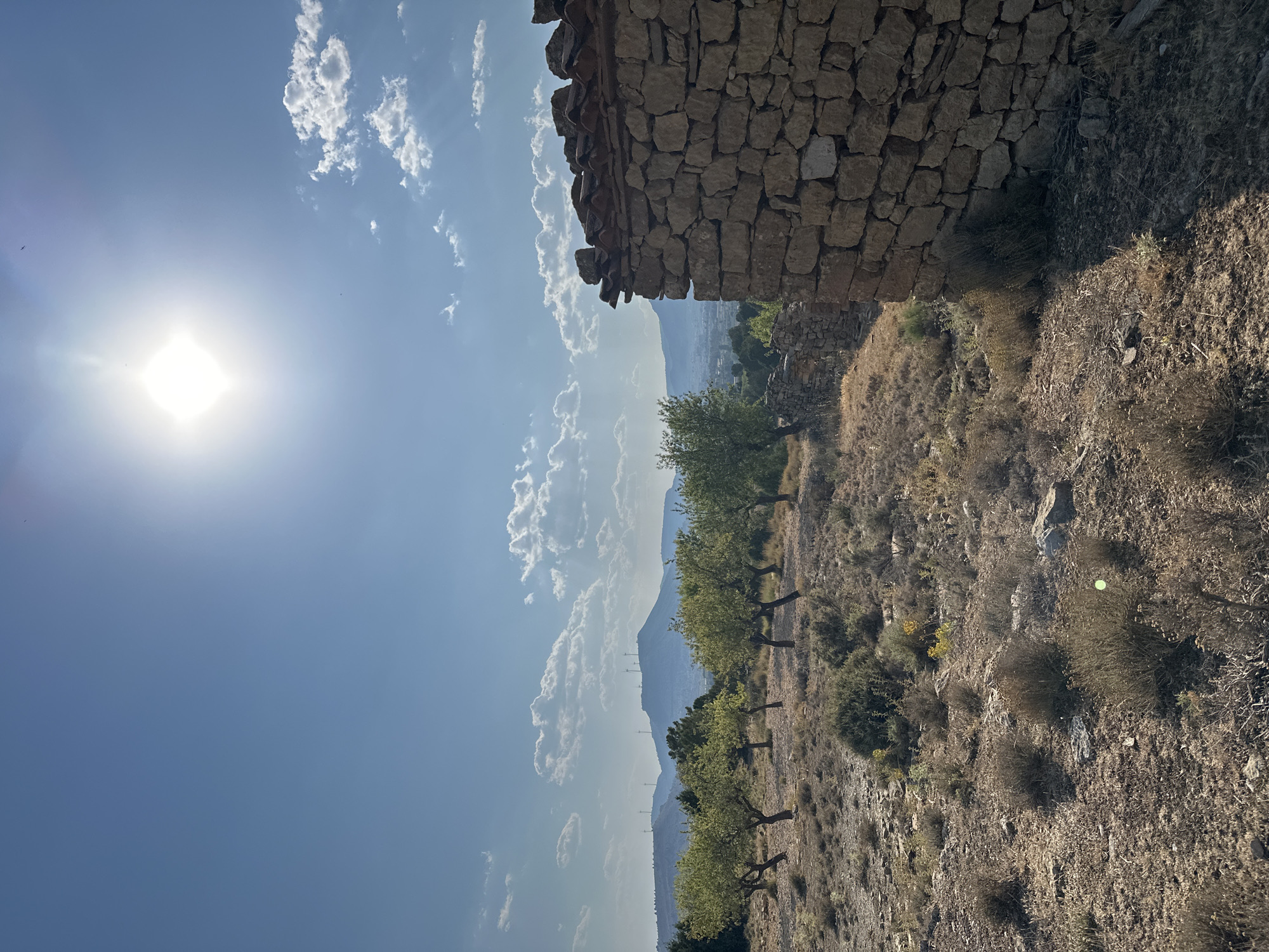 The image depicts a sun-drenched, arid landscape with a clear blue sky dotted with fluffy white clouds. In the foreground, to the right, a weathered stone structure stands partially in shadow, its walls constructed from irregular, rough-hewn stones and topped with broken red tiles. The ground in front of it is dry and covered with sparse, low-lying scrub and scattered rocks.
To the left of the stone structure, a row of young olive trees with gnarled trunks are planted on a gentle slope. Beyond the olive trees, the landscape recedes into a valley, with more trees and some scattered buildings visible in the distance. Further back, a prominent, rounded hill dominates the horizon, topped with what appear to be wind turbines. The sun, a bright, intense orb, shines high in the sky, casting a strong light and creating lens flare. The overall scene suggests a rural, possibly remote, location in a warm climate, consistent with the topography of Alpuente, Spain, which is known for its hilly terrain and Mediterranean vegetation. No people are visible in the image.