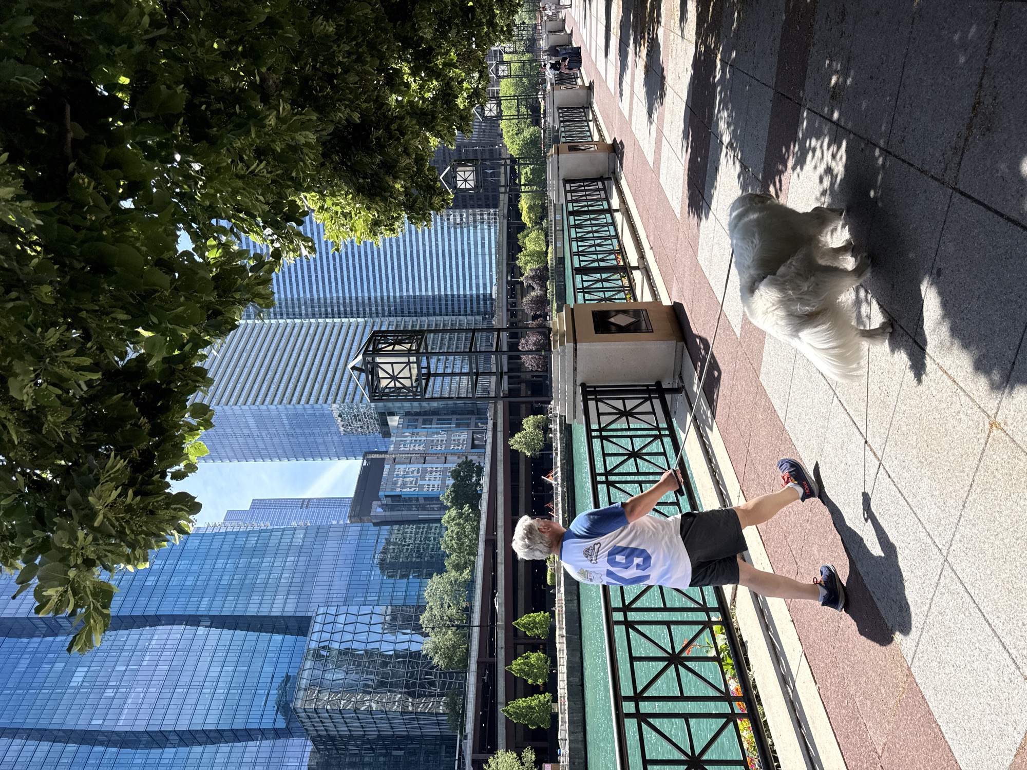 A man with gray hair, wearing a white t-shirt with blue lettering that reads "19", and dark shorts, walks a white dog on a leash along a sun-dappled pedestrian walkway next to the Chicago River. The walkway is paved with patterned stone tiles and bordered by a black metal fence. Across the river are several modern glass skyscrapers. Green trees line the riverbank and overhead. The scene appears to be taken on a sunny day in Chicago, United States of America.