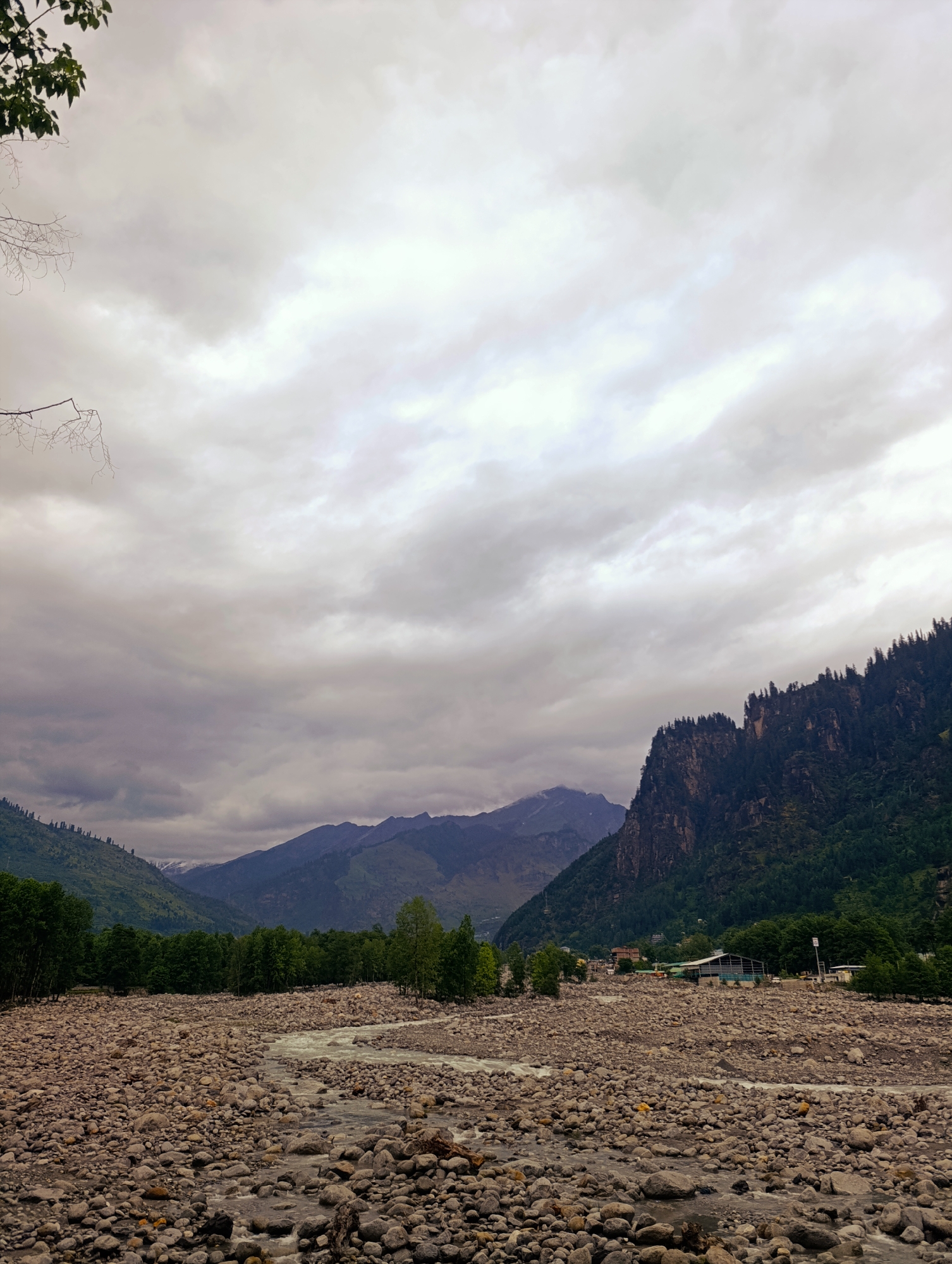 The image captures a wide view of a rocky riverbed in the city of Goshal, India. The river, with its water flowing between the rocks, occupies the central and lower portion of the frame. The riverbed is densely covered with numerous grey and brown stones of varying sizes.
In the middle ground, a line of lush green trees stretches across the landscape, with a few small buildings and structures visible behind them, hinting at a settlement. To the right, a steep, dark mountain covered with dense green pine trees rises dramatically, its peak obscured by a thick, overcast sky. In the distance, several layers of majestic, rugged mountains fade into a hazy, muted palette of blues and greys, with snow-capped peaks visible on the farthest range. The sky itself is heavily clouded, with a dominant grey hue, suggesting an impending or recent rain. The foreground is dominated by the extensive field of rocks, creating a rough and natural texture. A few bare tree branches are visible in the upper left corner, adding a touch of natural detail against the cloudy sky. The overall scene is one of a wild, natural landscape with a sense of vastness and the presence of human habitation integrated into the environment.