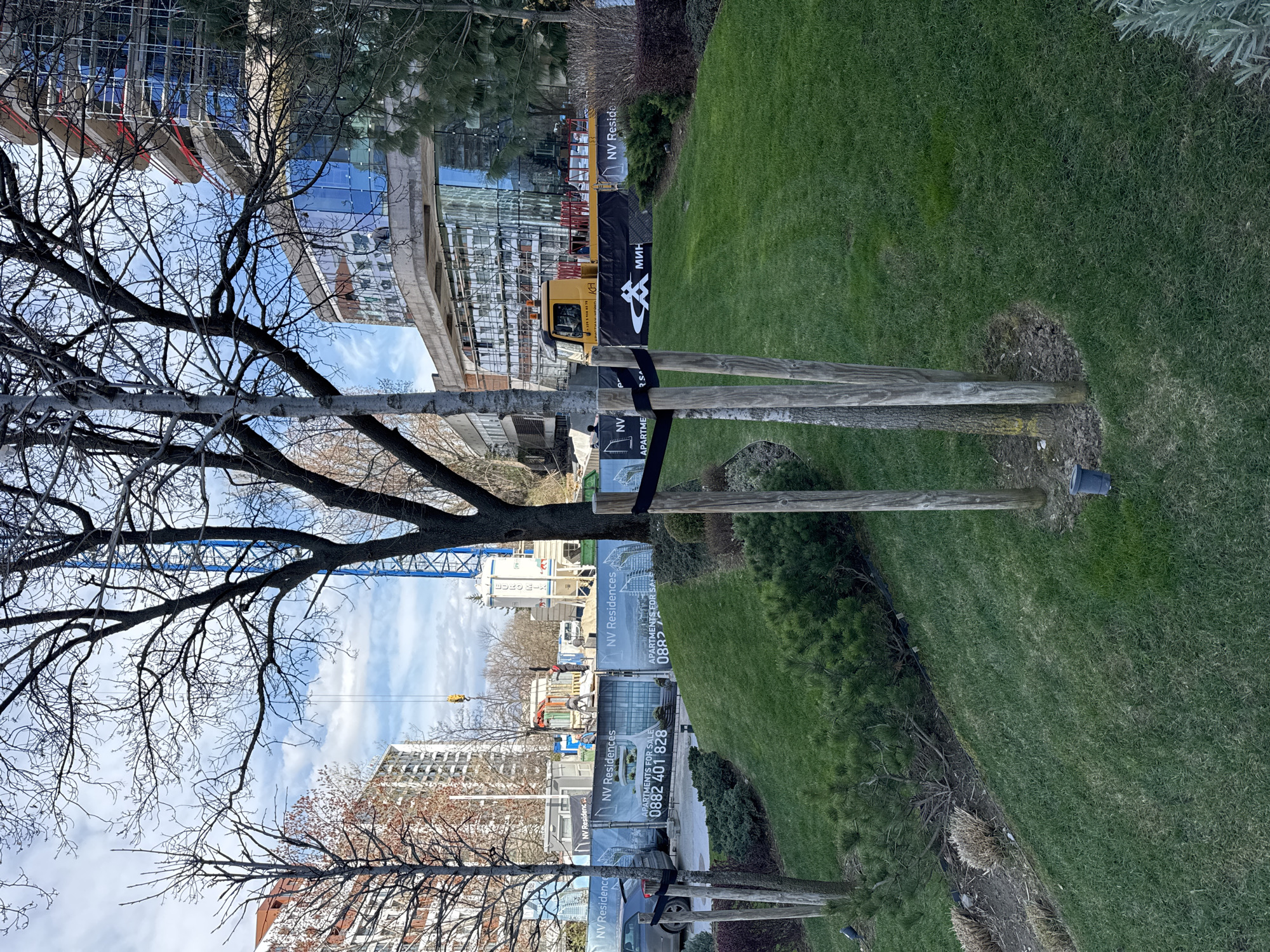 The image depicts a construction site in Sofia, Bulgaria. A bare tree stands in the foreground, with wooden supports attached to its trunk. Banners advertising "NV Residences" are affixed to the tree and supports, displaying "APARTMENTS FOR SALE" and the phone number "0882 401 828." Behind the tree is a construction site with cranes, scaffolding, and partially completed buildings with reflective glass facades. There is an under-construction highway bridge in the background. The ground is covered with grass. The sky is blue with scattered clouds.