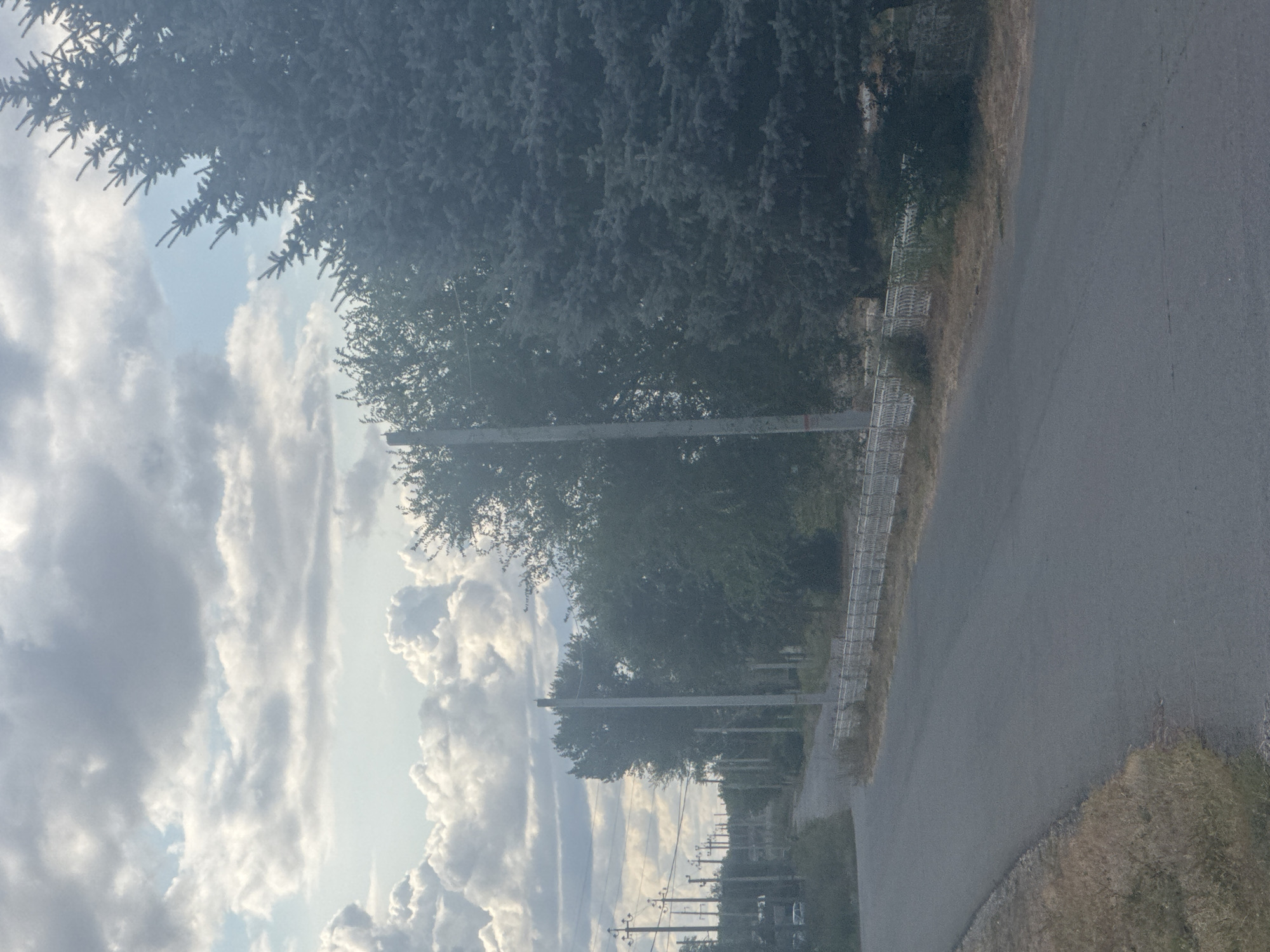 The image depicts a scene on a paved road in Novosergiyevka, Russia. The road curves to the left, bordered by dry grass on the left side and a low white metal fence on the right. A line of utility poles with wires stretches along the left side of the road into the distance. Dense trees and bushes line the right side of the road, with a large coniferous tree prominently positioned in the foreground on the right. The sky above is partly cloudy with large, textured white clouds against a pale blue background. The overall impression is of a rural or suburban roadside under an overcast sky.